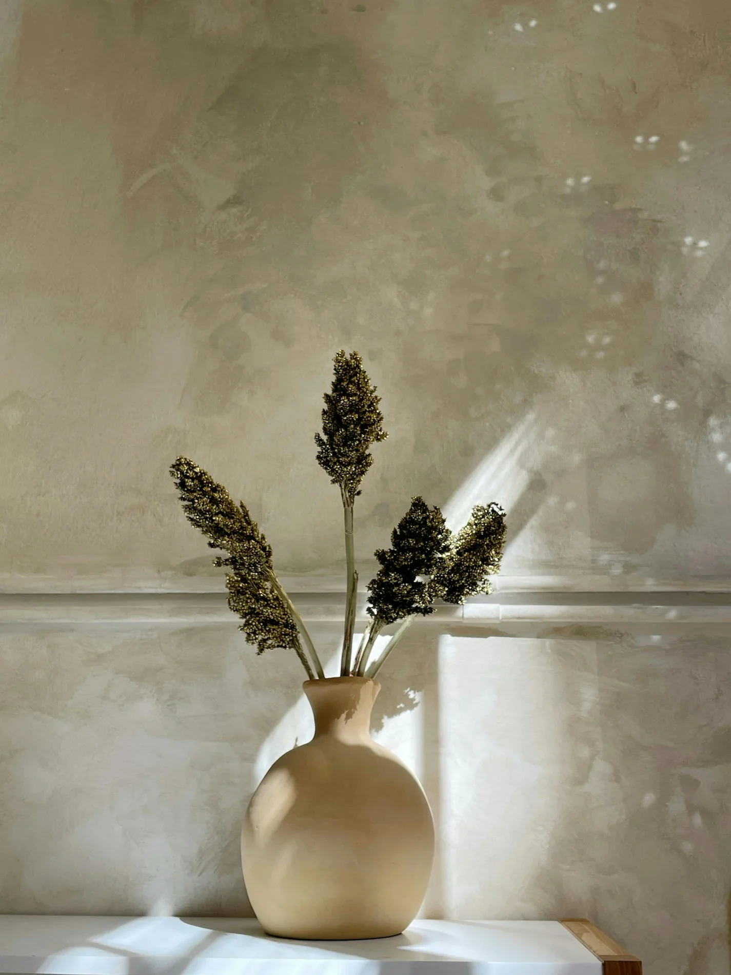 Close-up detail of a hand-applied plaster wall featuring a rough, organic texture, illuminated by dappled sunlight and styled with dried botanicals in a clay vase.