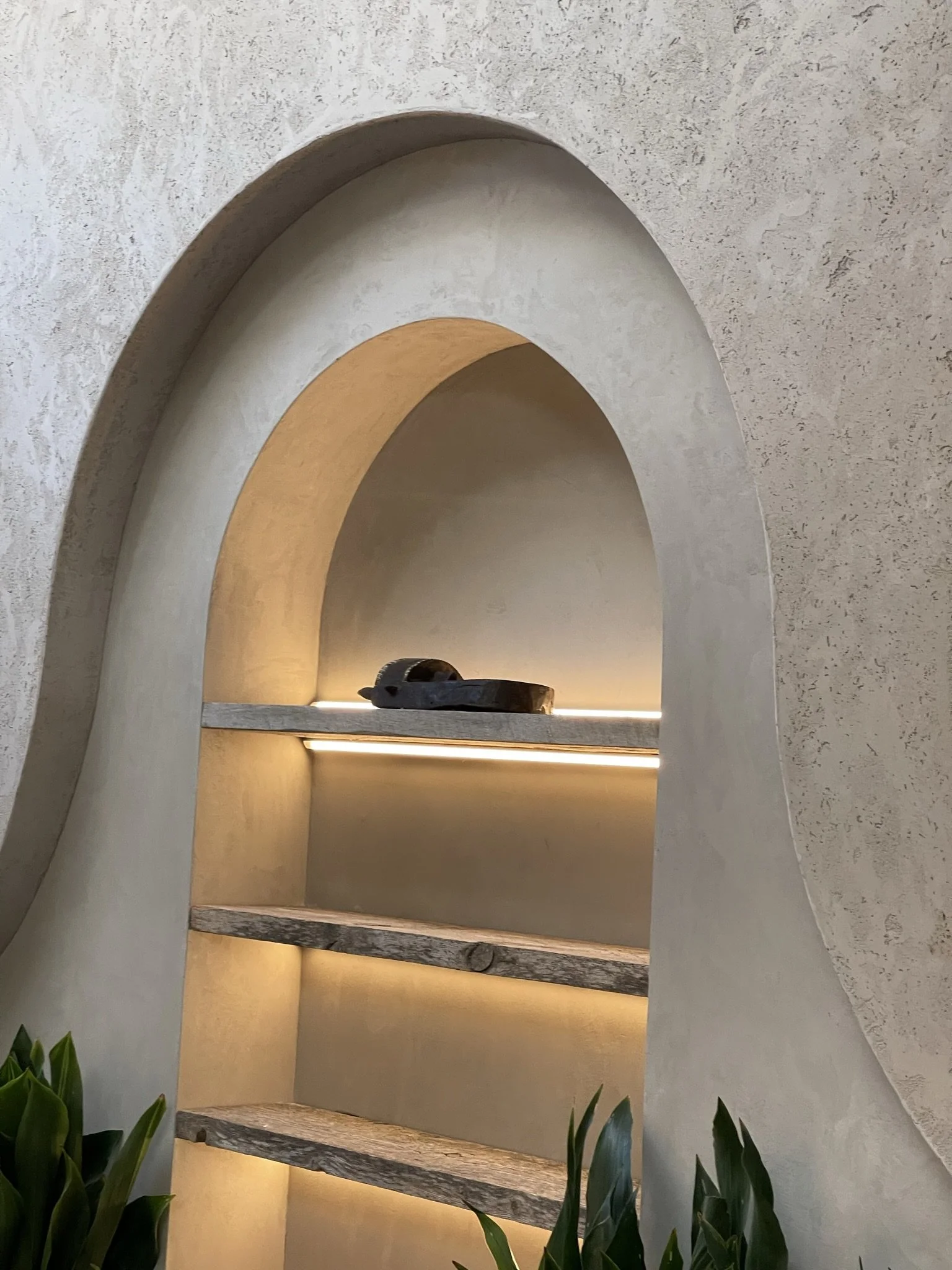 the-woods-west-hollywood-custom-plaster-arched-shelving-monstera.jpeg