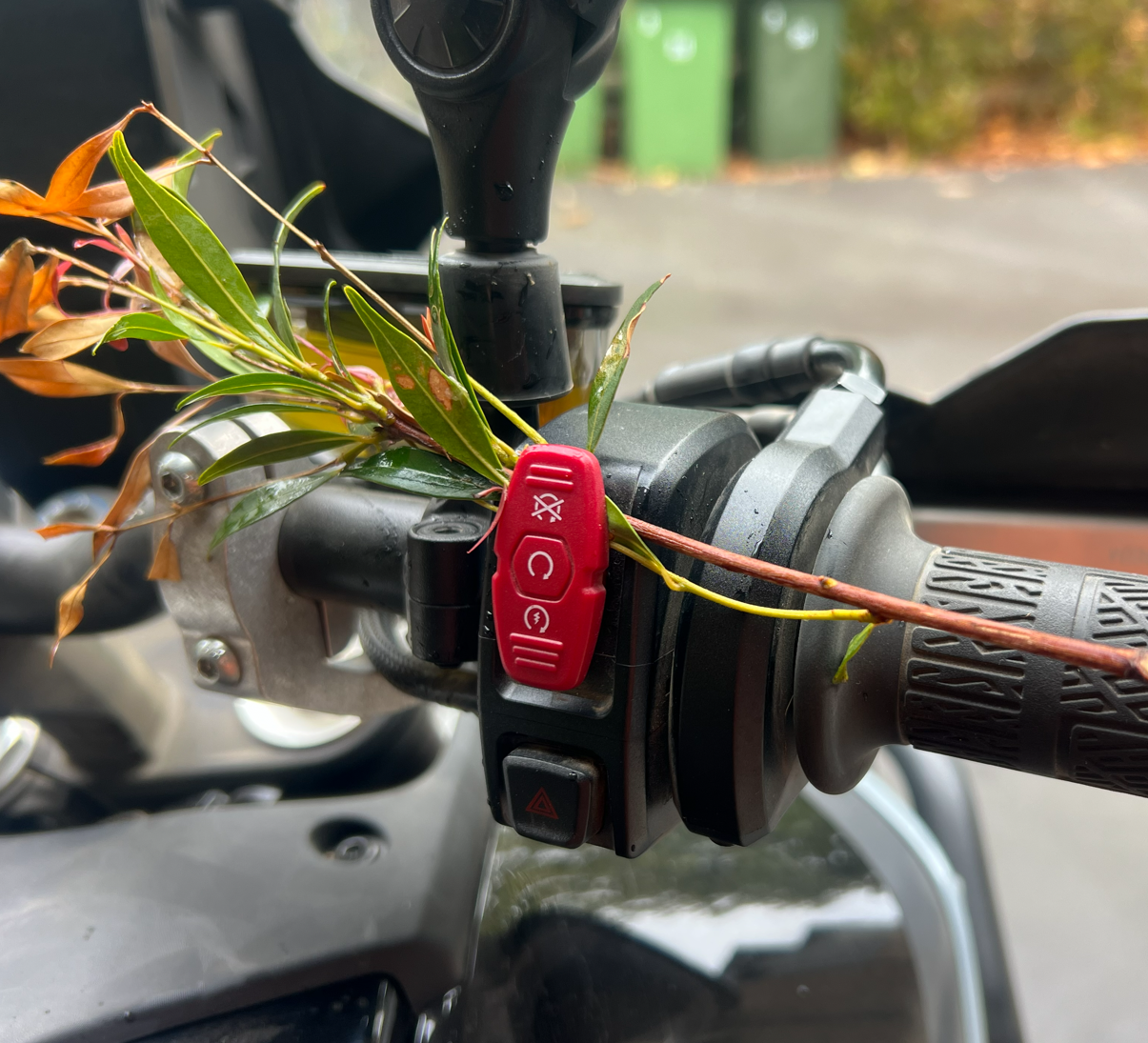 Motorcycle switch guard preventing branches from interfering with the start switch during riding