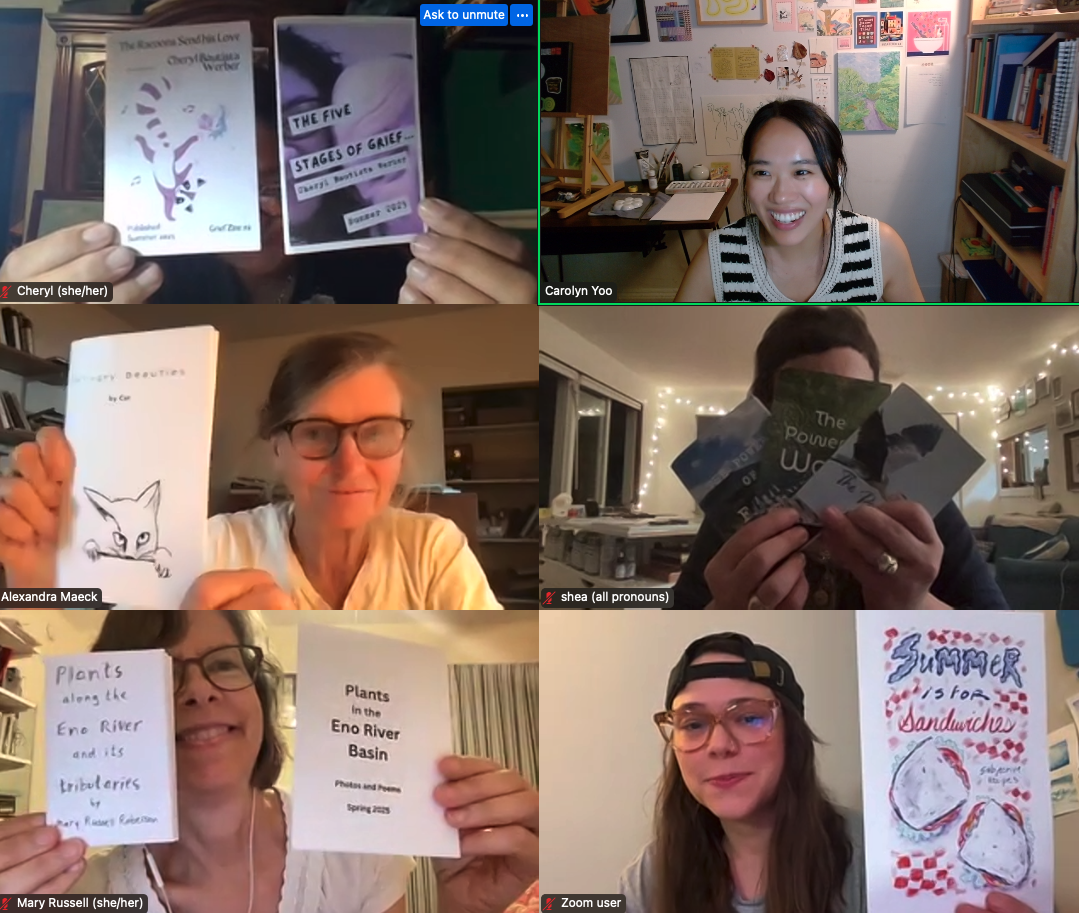 A virtual meeting of Zine Lab cohort