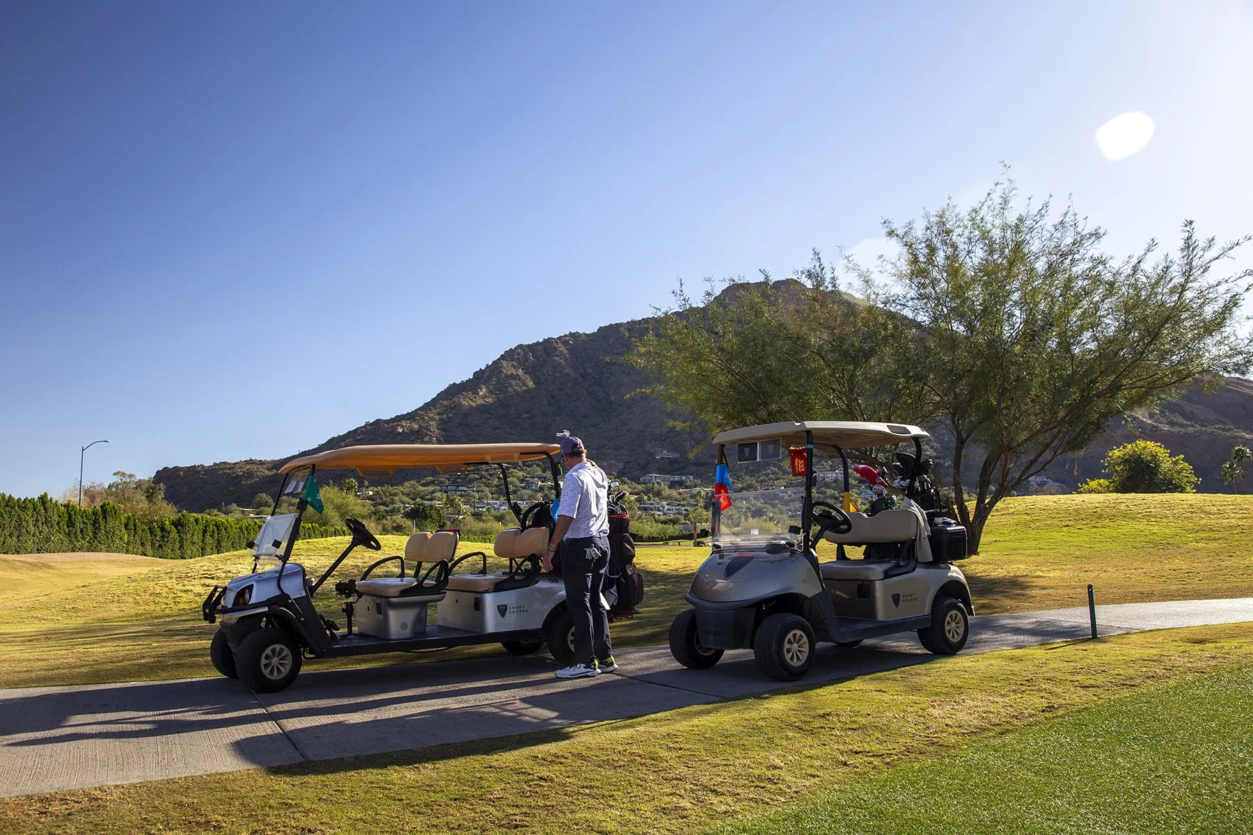 A man in a white shirt and cap standing between two parked golf carts on a golf course with mountains in the background and a tree nearby.