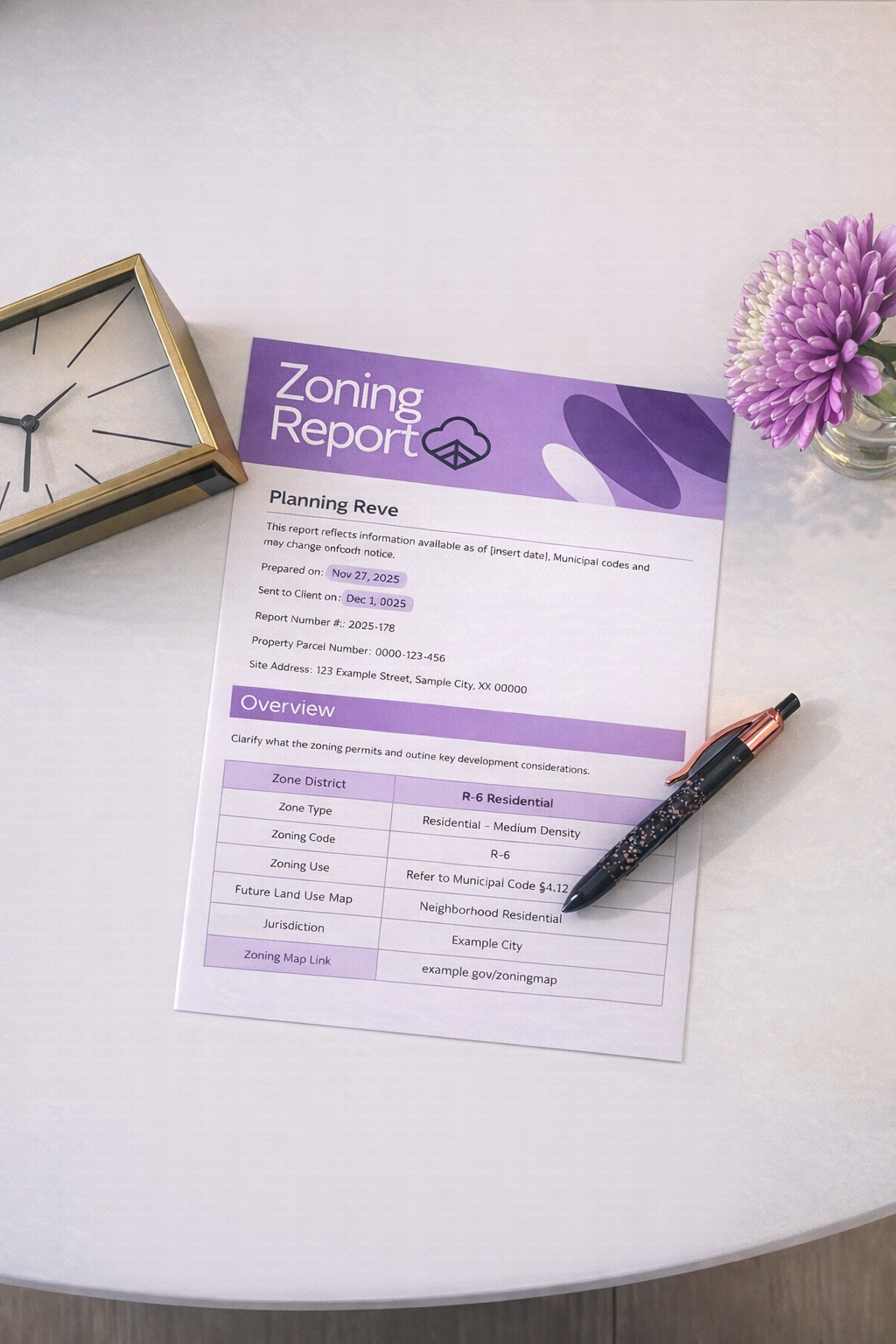 Zoning Feasibility Report