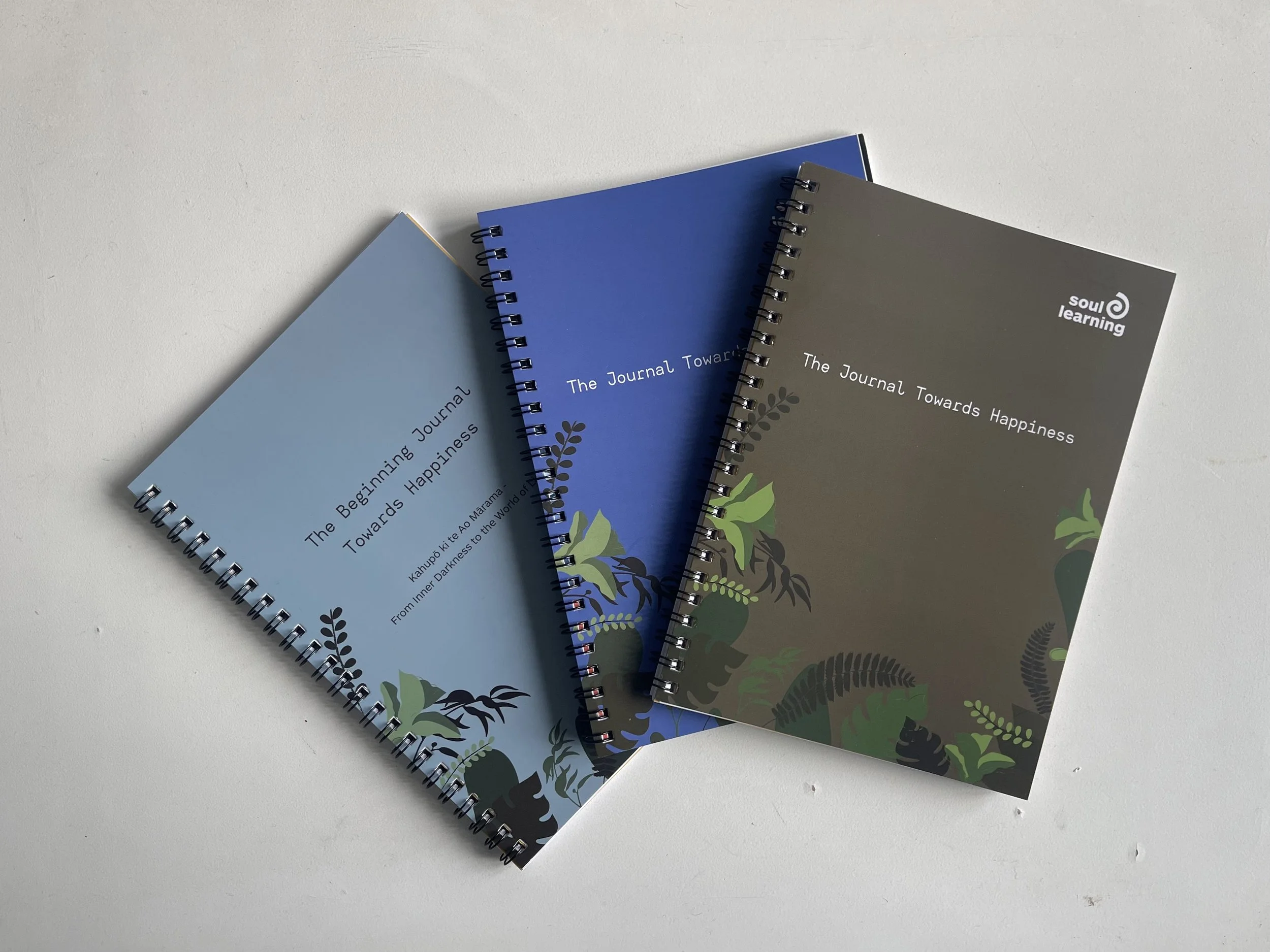 How Soul Learning is already making a difference for young people in Aotearoa