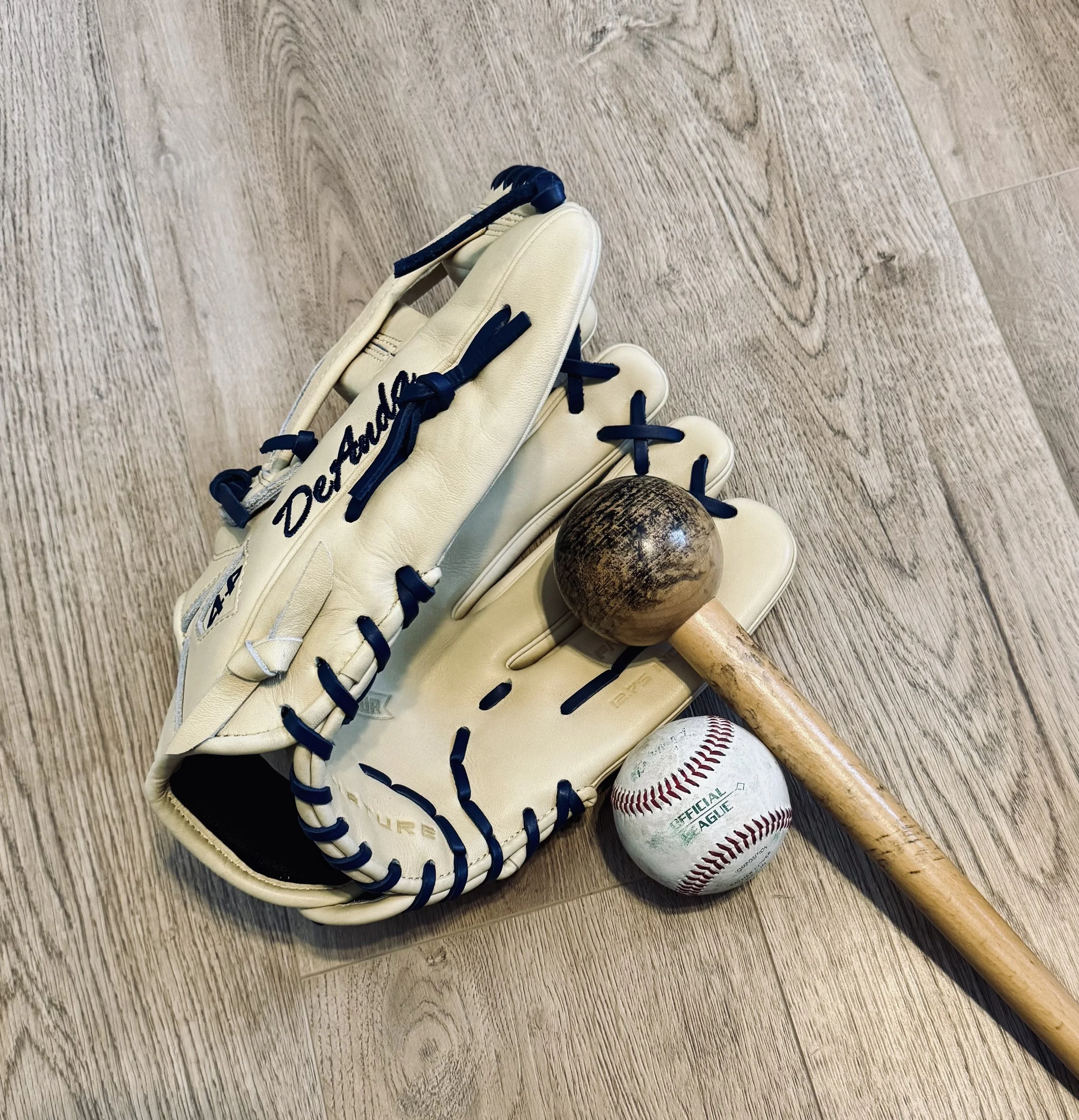 Glove Break In - Fielding