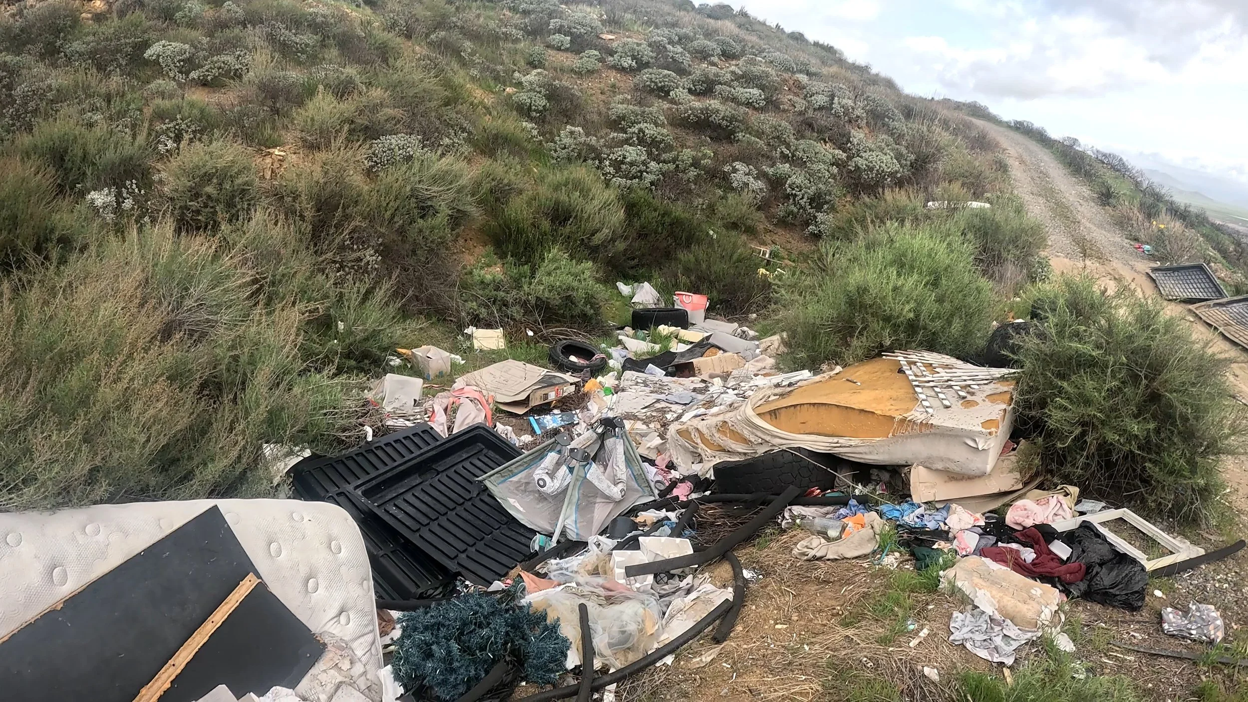 Garage and yard cleanup services in Murrieta, Temecula, Wildomar, Lake Elsinore, Menifee, CA