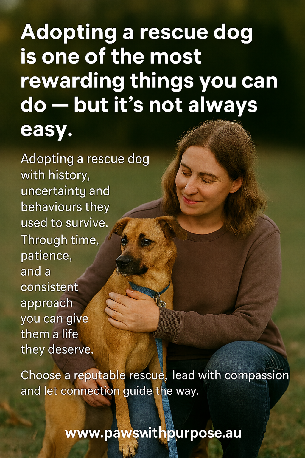 Why Adopting From a Reputable Rescue Centre Matters — And Why It’s So Rewarding