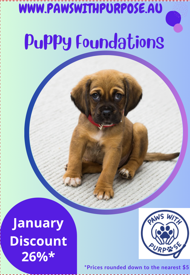A promotional poster for Paws With Purpose featuring a cute brown puppy with floppy ears sitting on a gray carpet. The poster includes text advertising puppy foundations, a January discount of 26%, and the website www.pawswithpurpose.au.