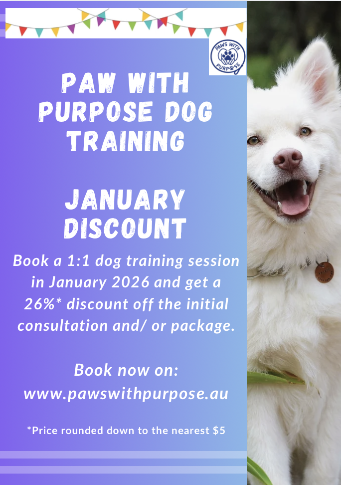 Flyer for Paws With Purpose Dog Training with a January discount, featuring a smiling white dog on the right and colorful bunting at the top.