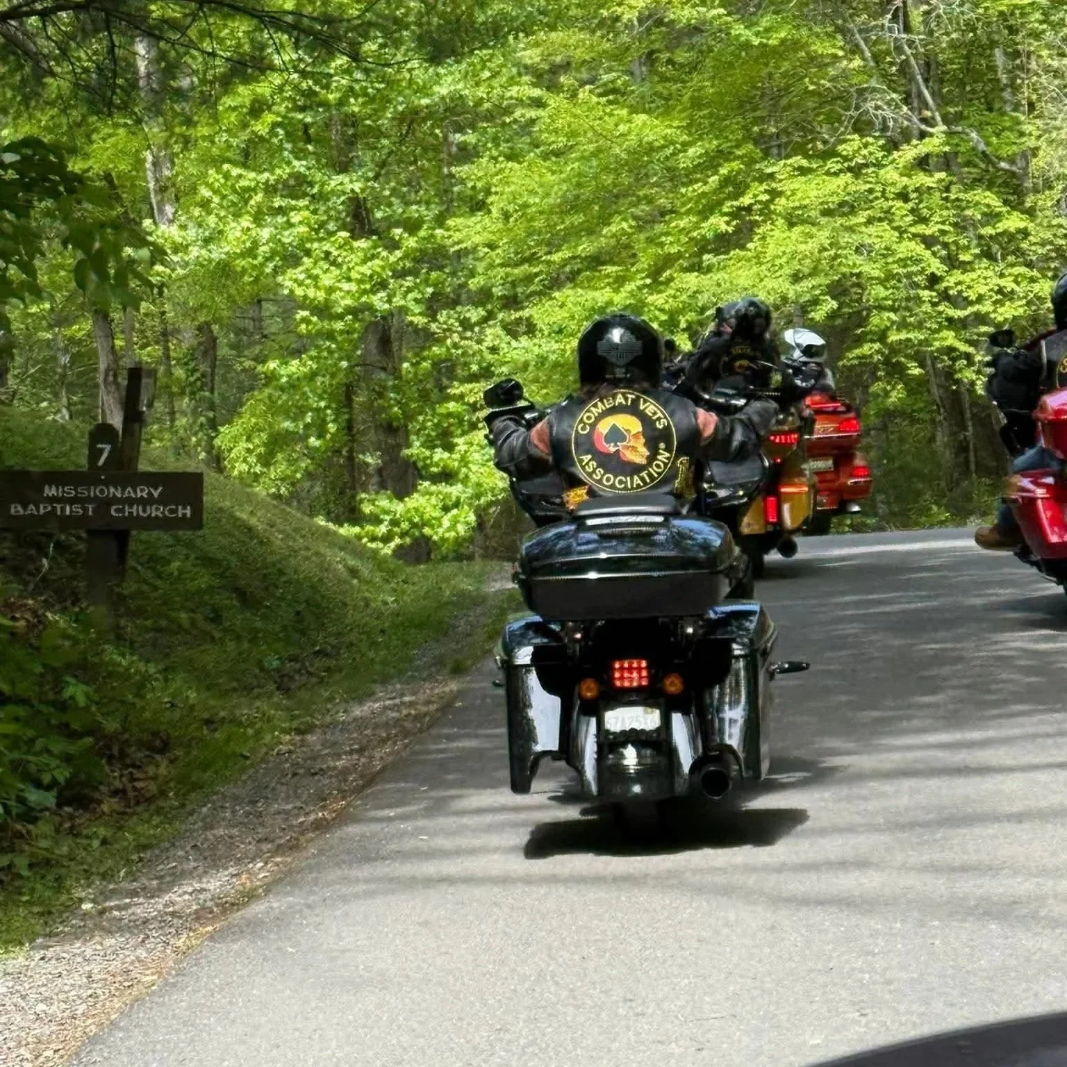 smokies5.jpg