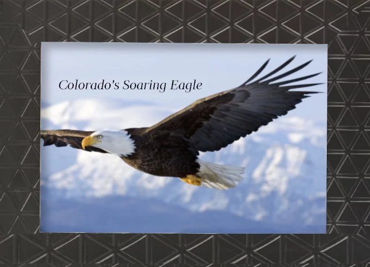 Colorado's Soaring Eagle
