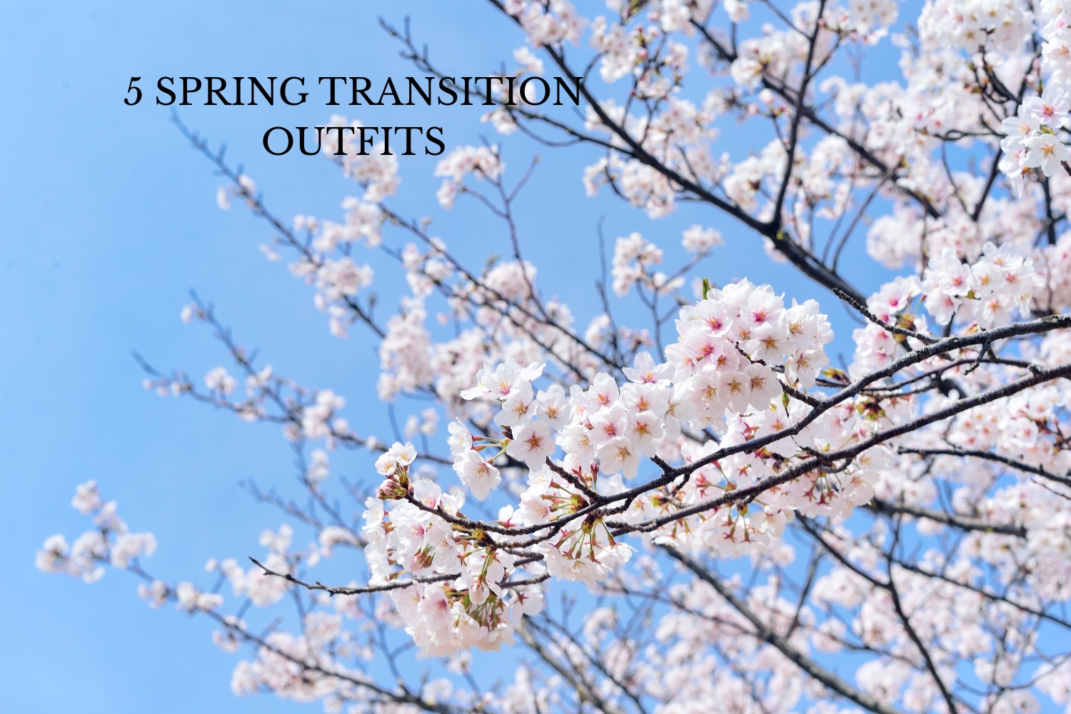 5 Spring Transition Outfits You Will Love