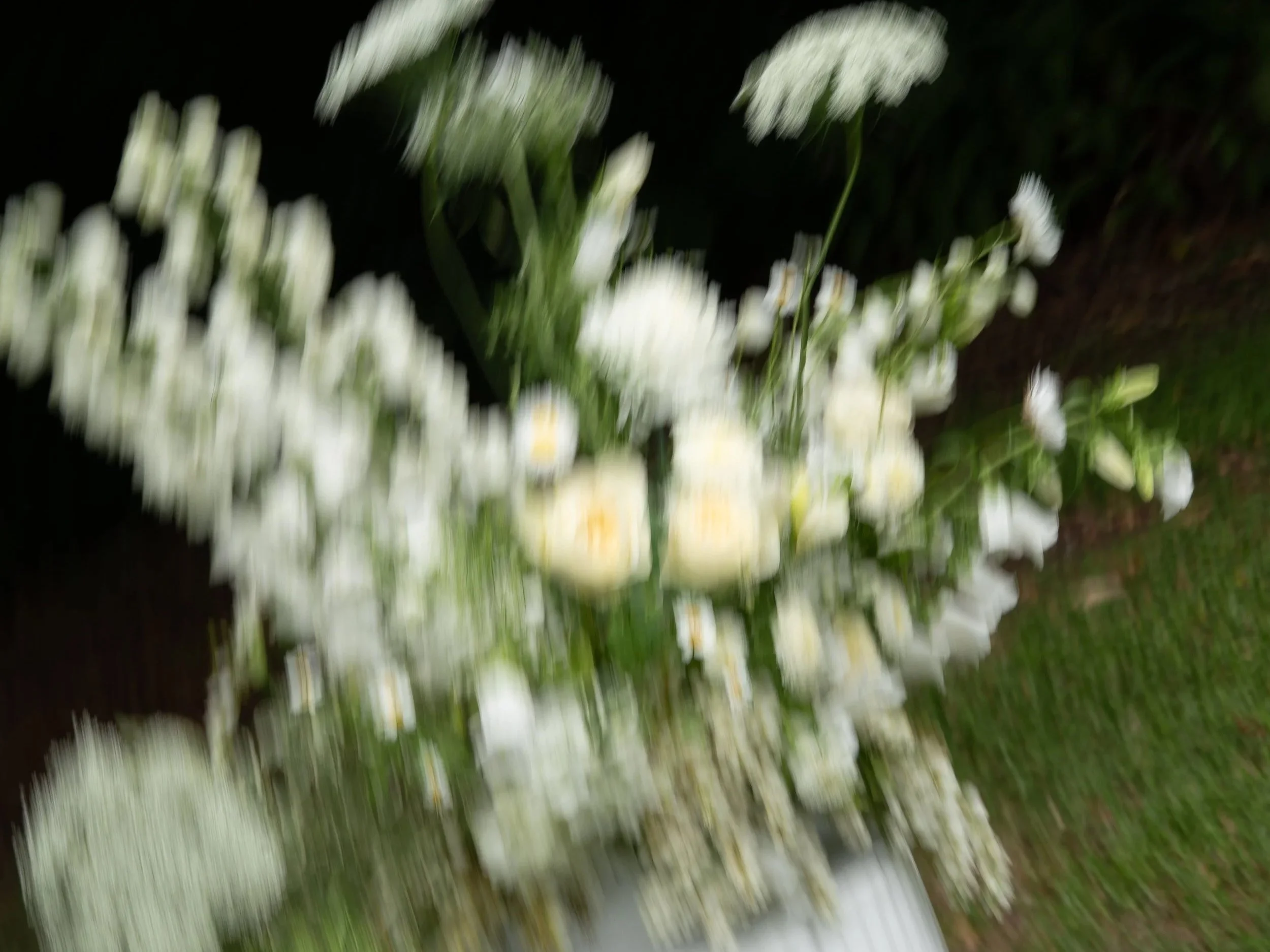 DSC04560.jpg