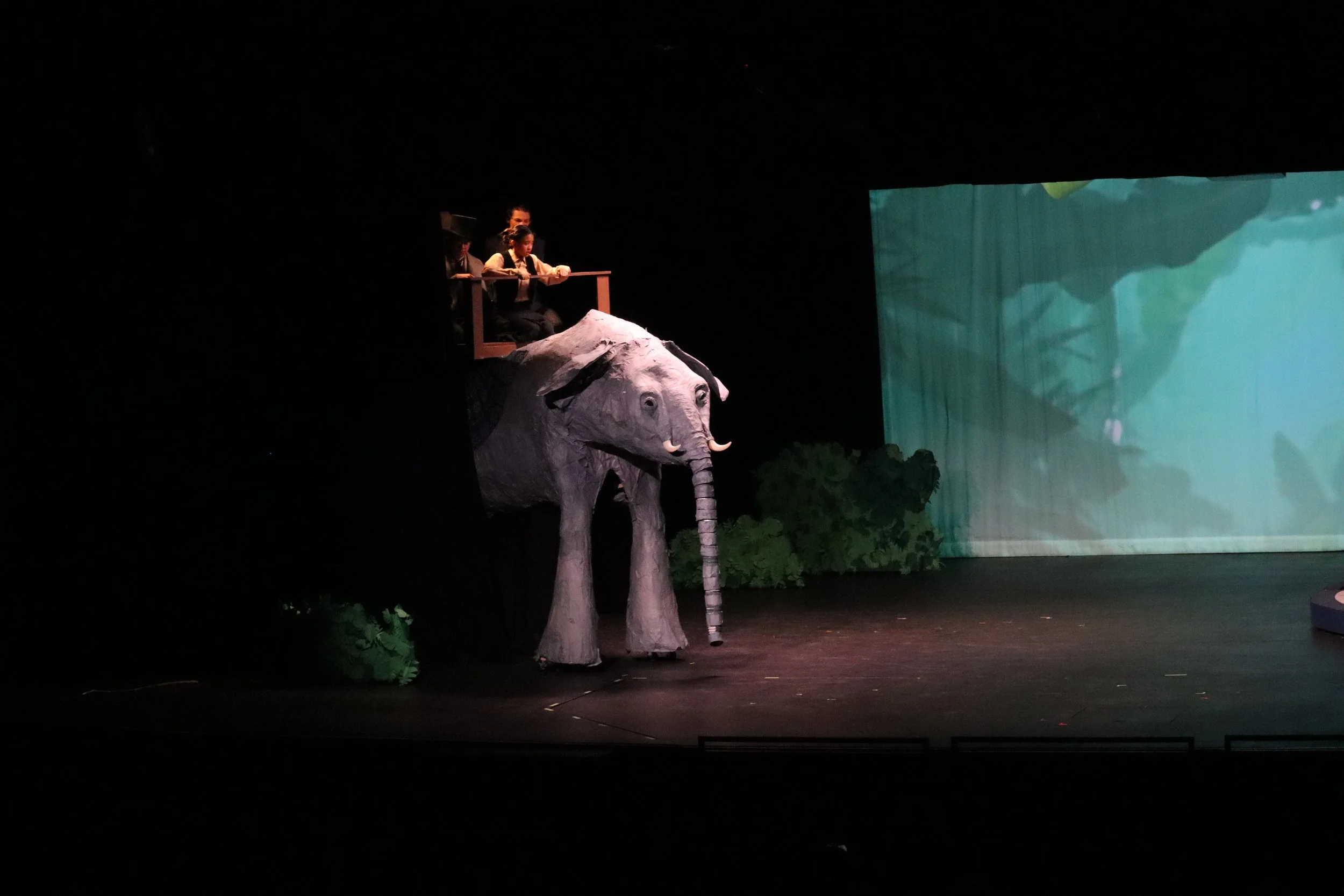 Riding Kiouni the Elephant