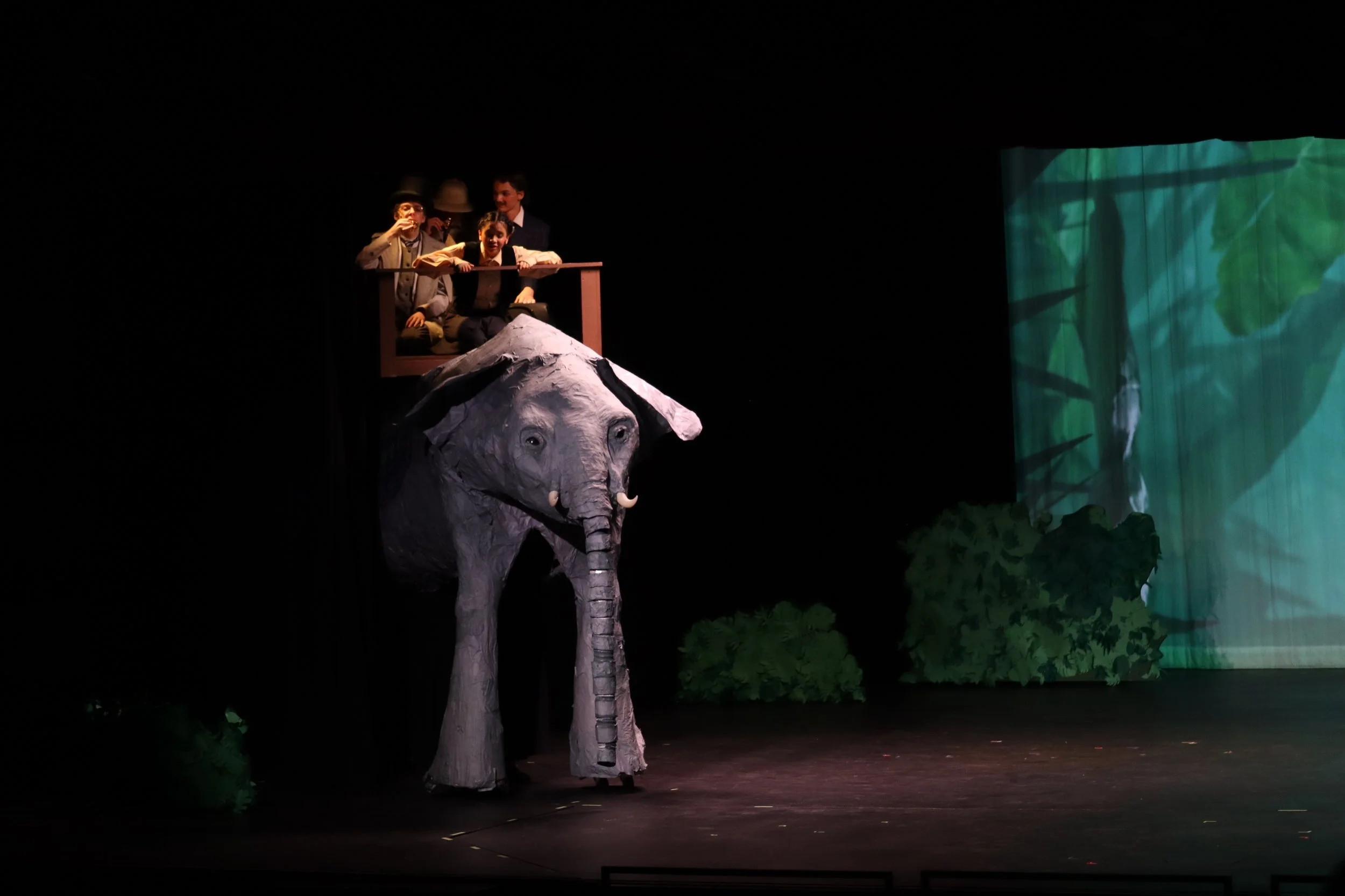 Riding Kiouni the Elephant