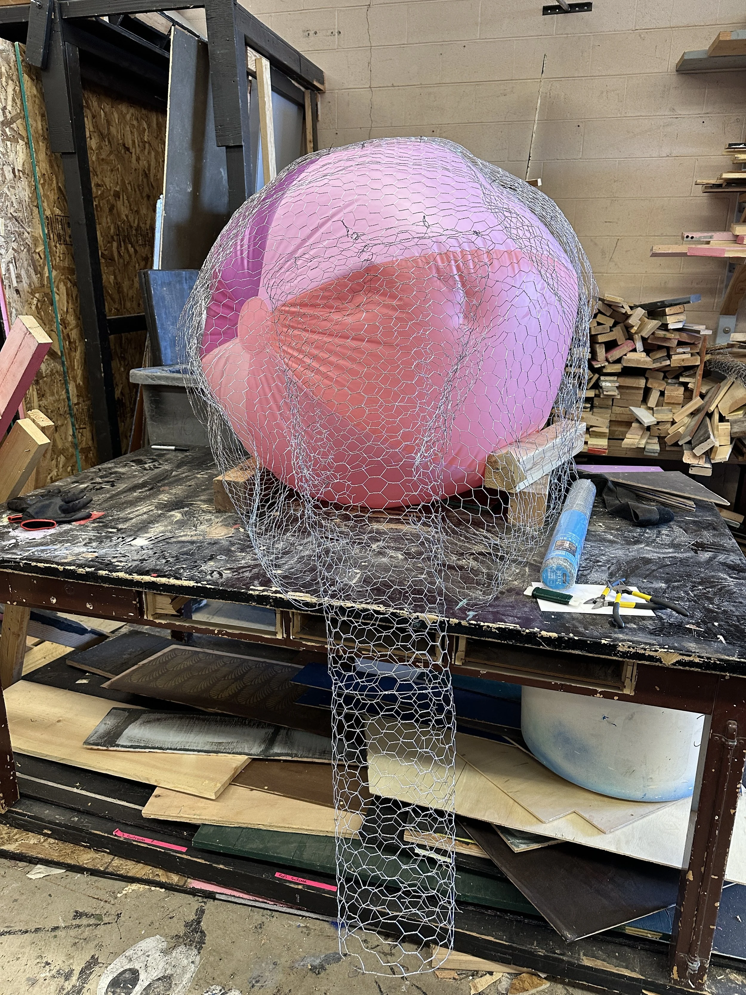 Elephant Head made of chicken wire