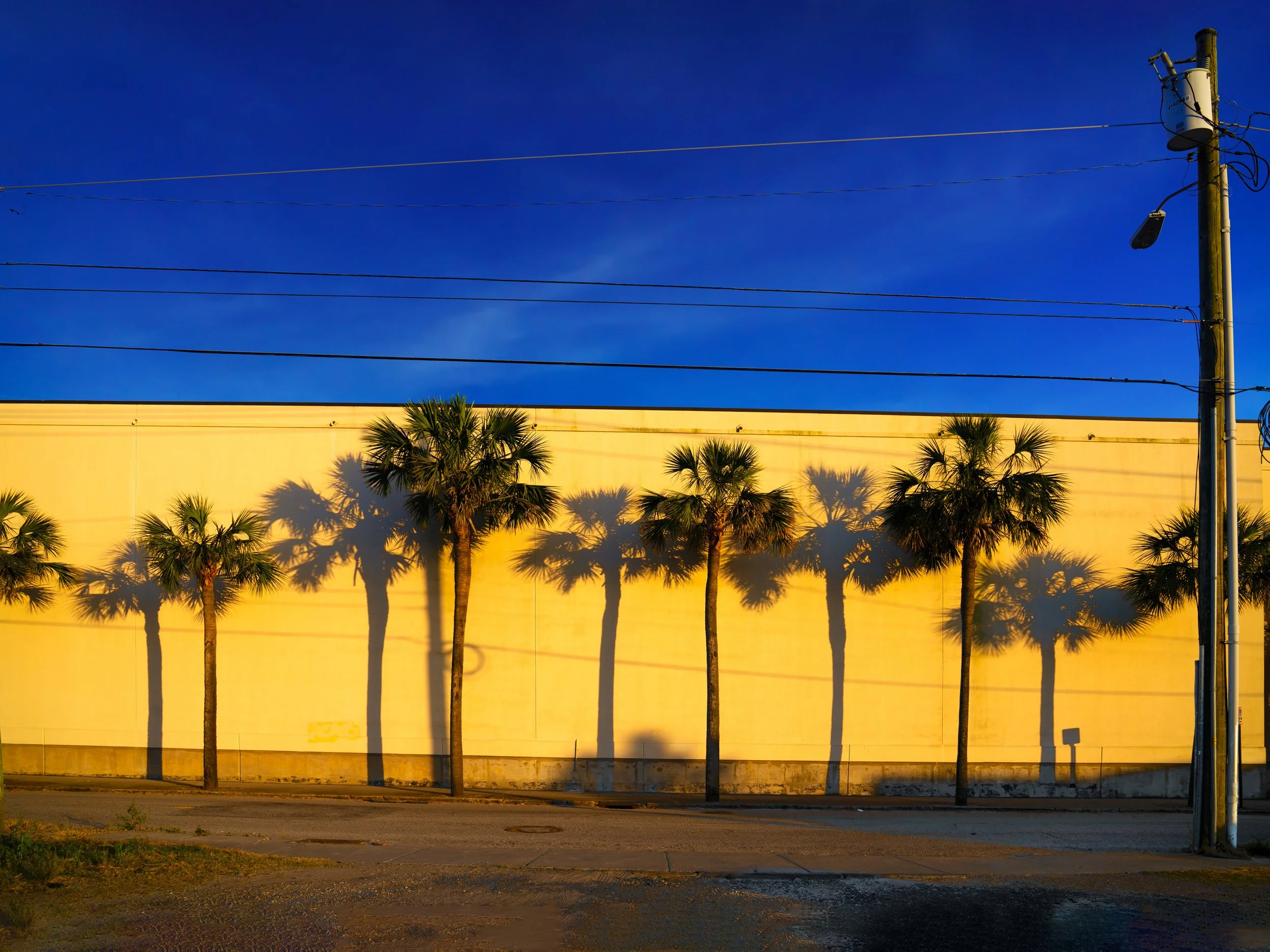 Palmetto RowTEST.jpg