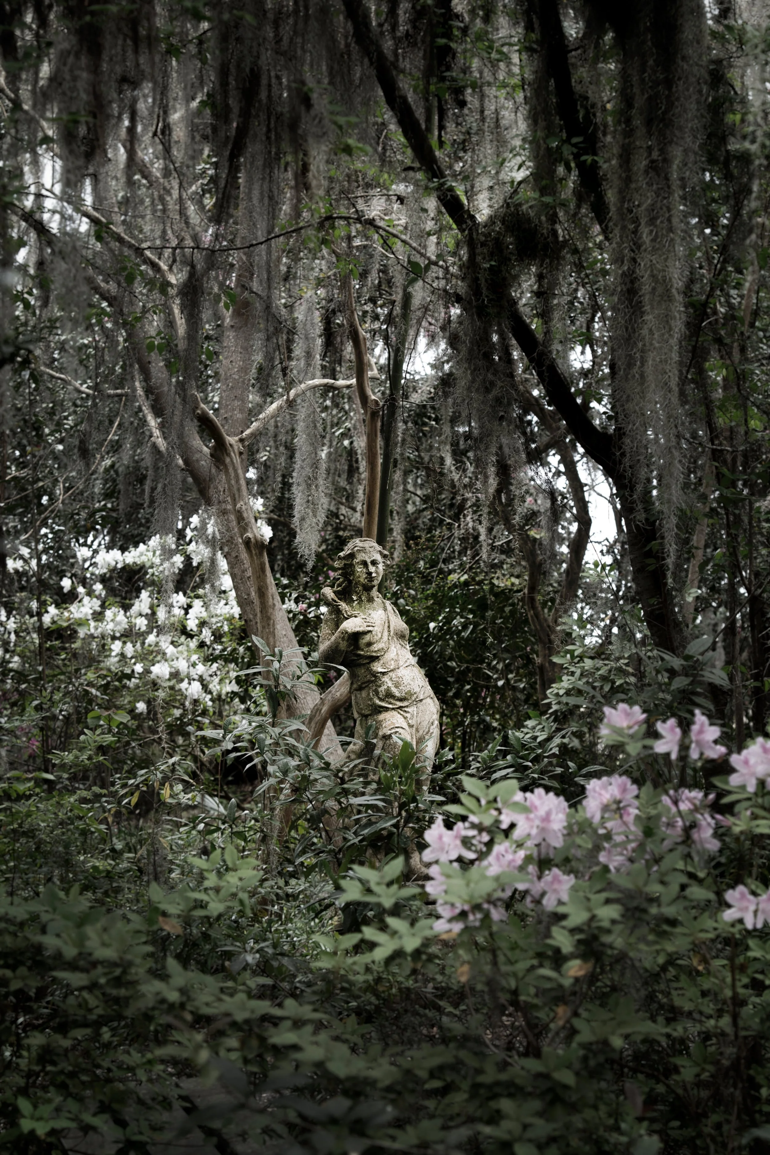 The Young Girl, Magnolia Gardens, Charleston, SC