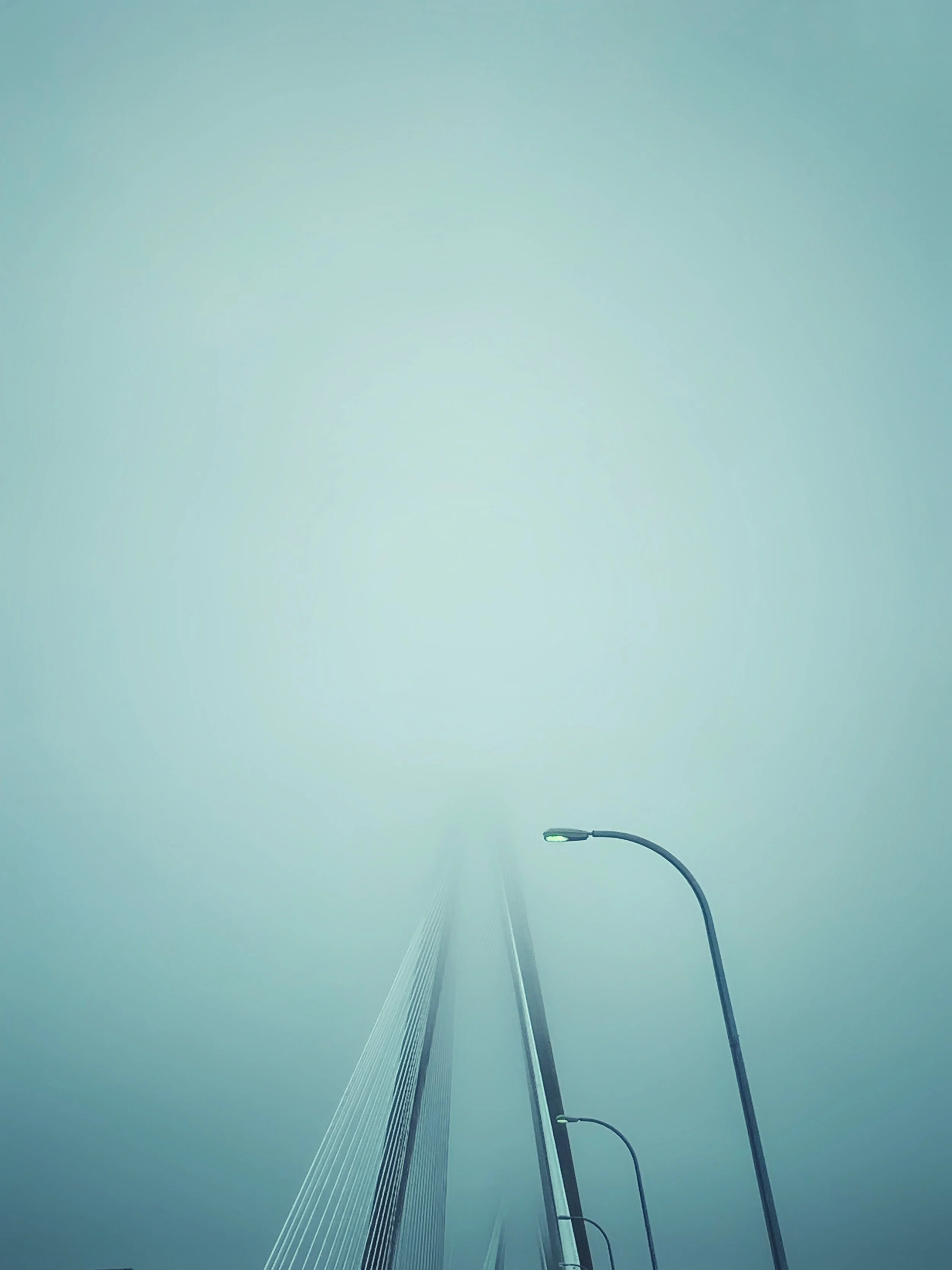 Ravenel Bridge, Charleston, SC