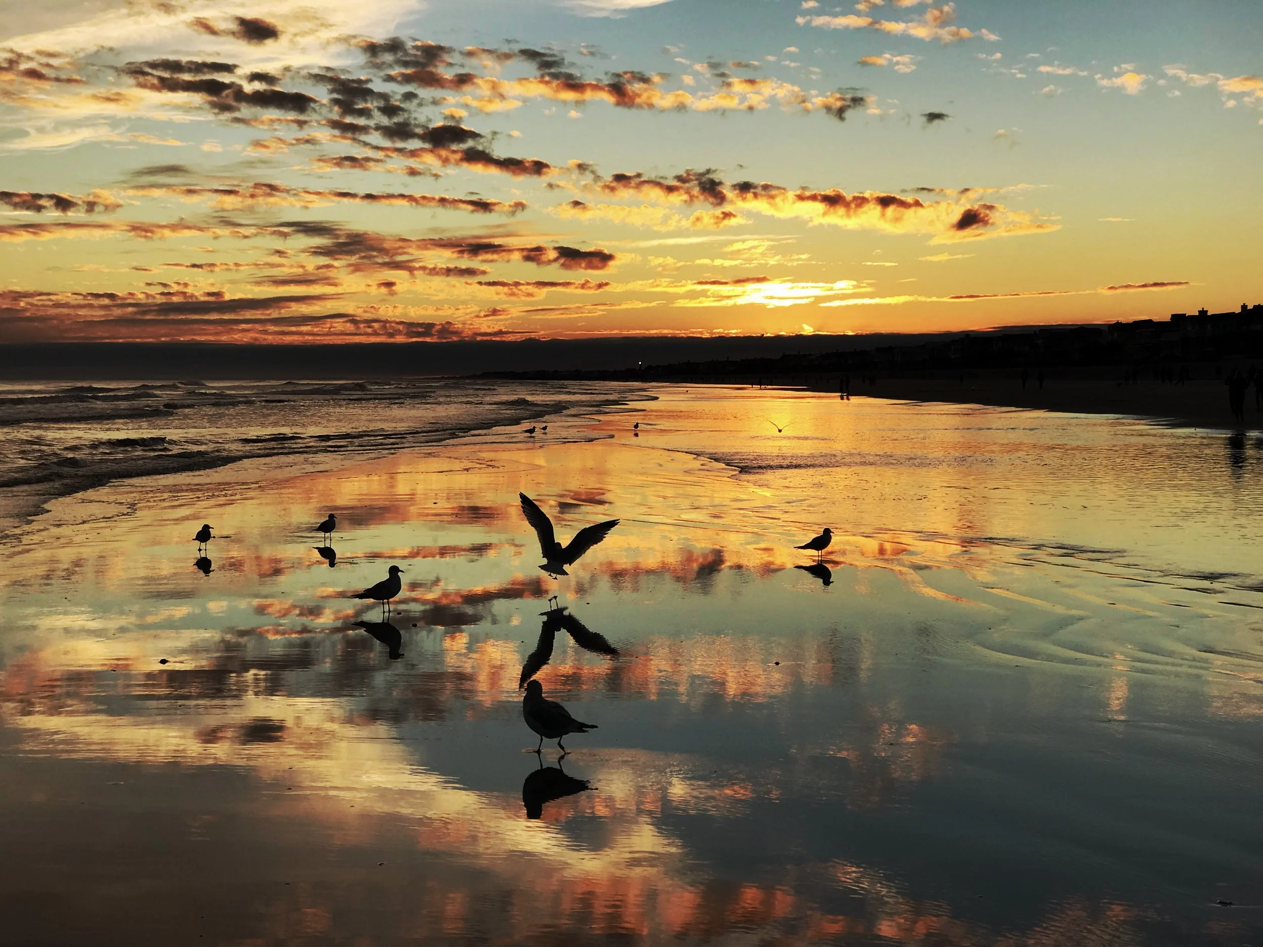 Golden Evening on Isle of Palms, SC