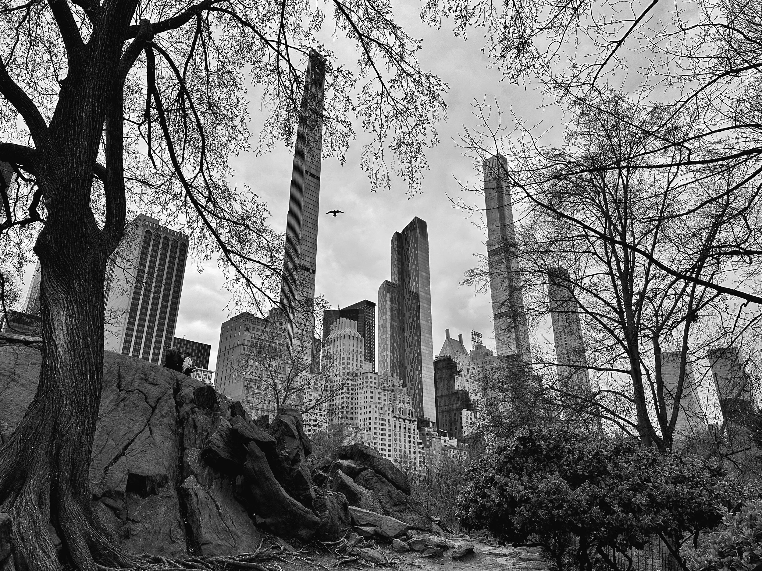 Peggy Archambault_Central Park.JPEG