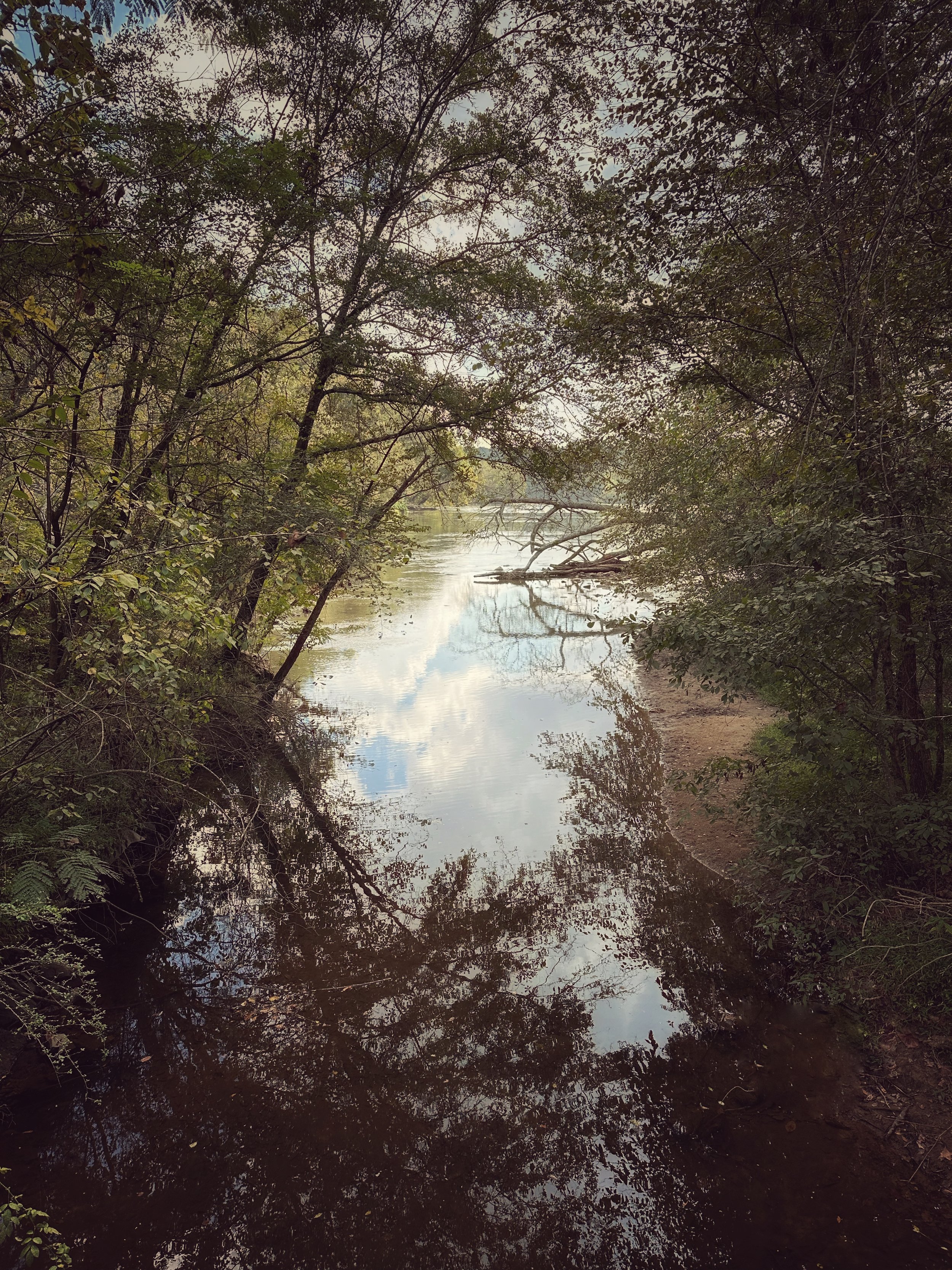 Chattahoochee Reflections