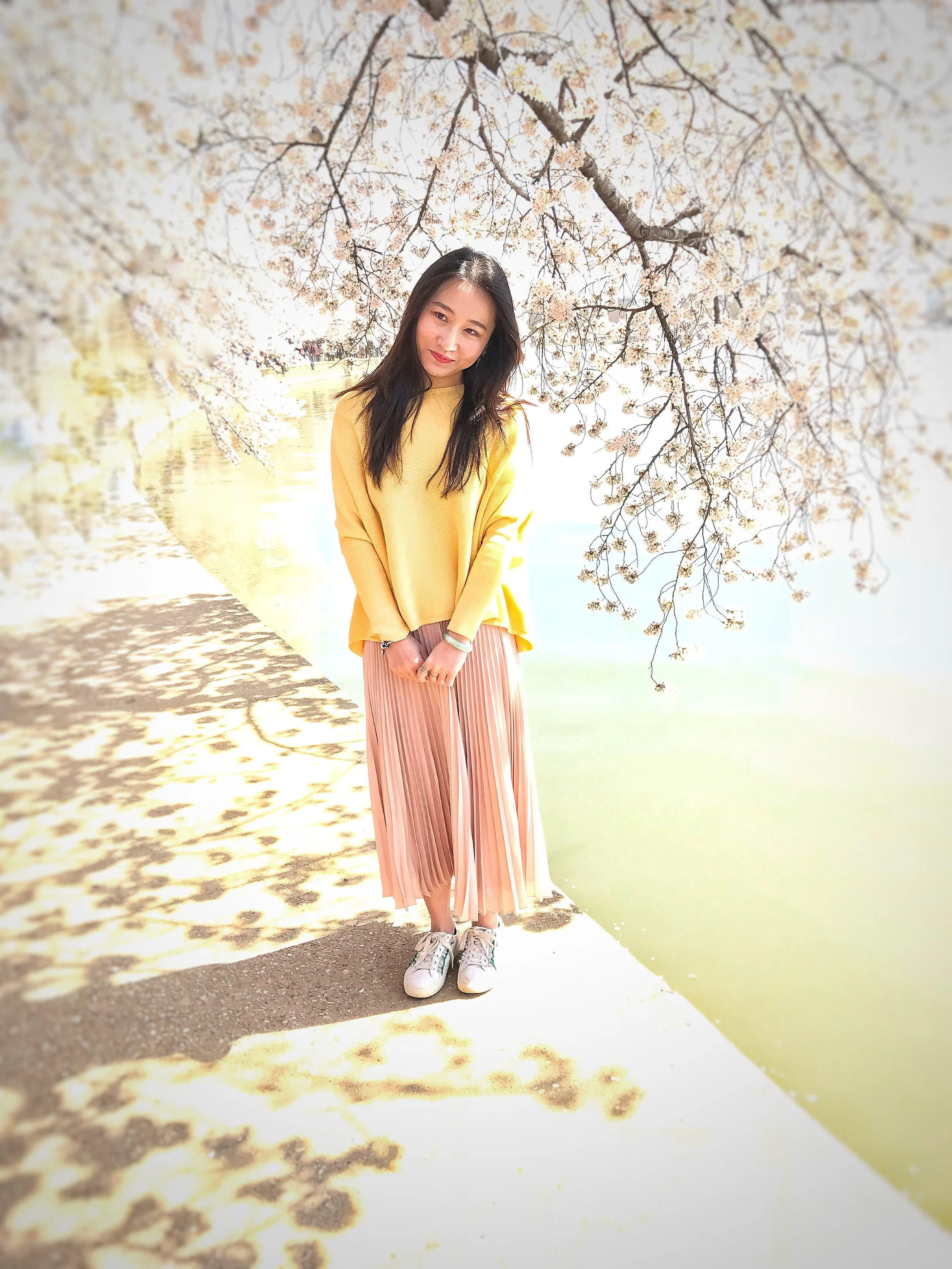 Along the Tidal Basin, Washington, DC