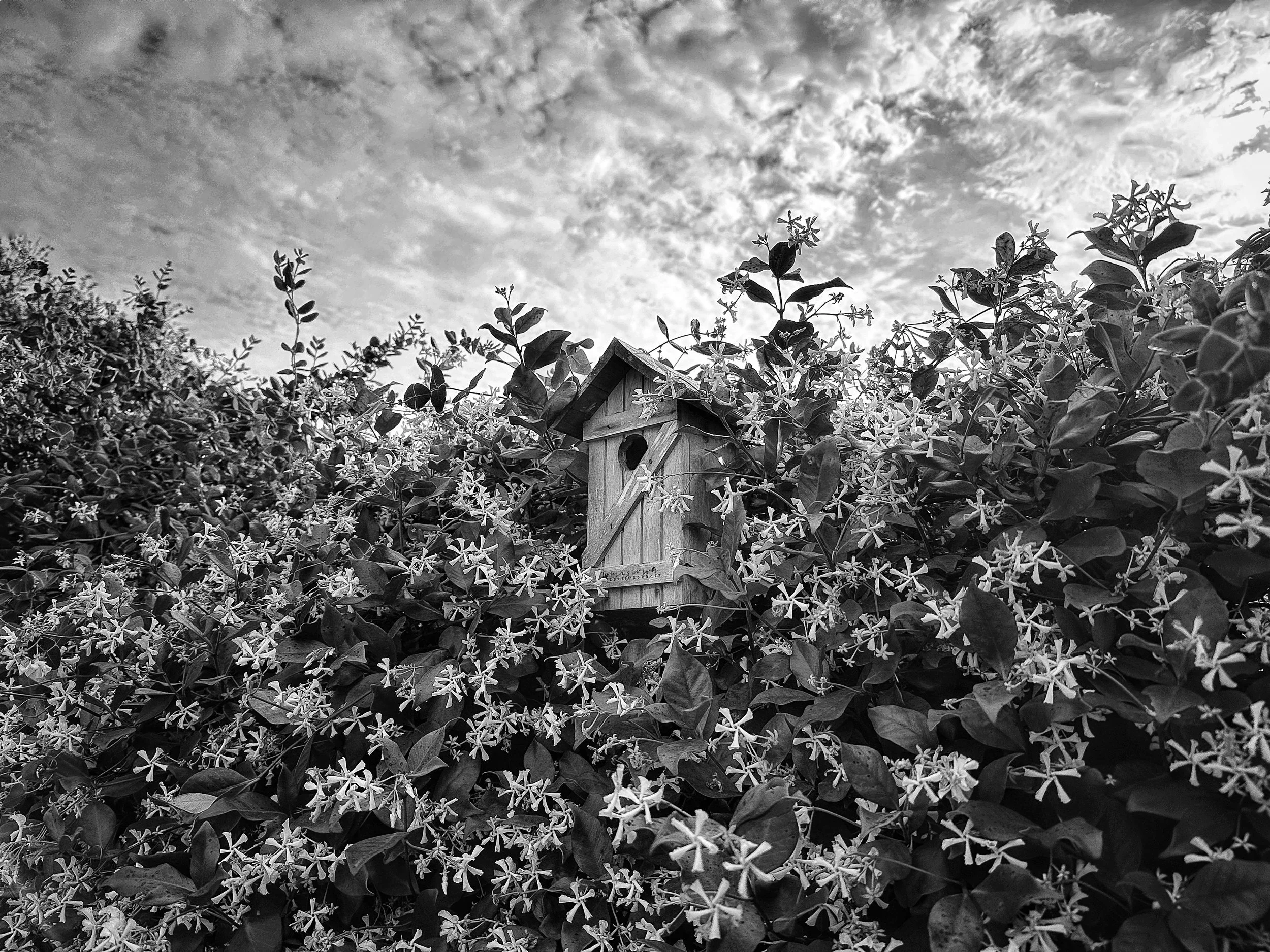 Bird House, Isle of Palms, SC