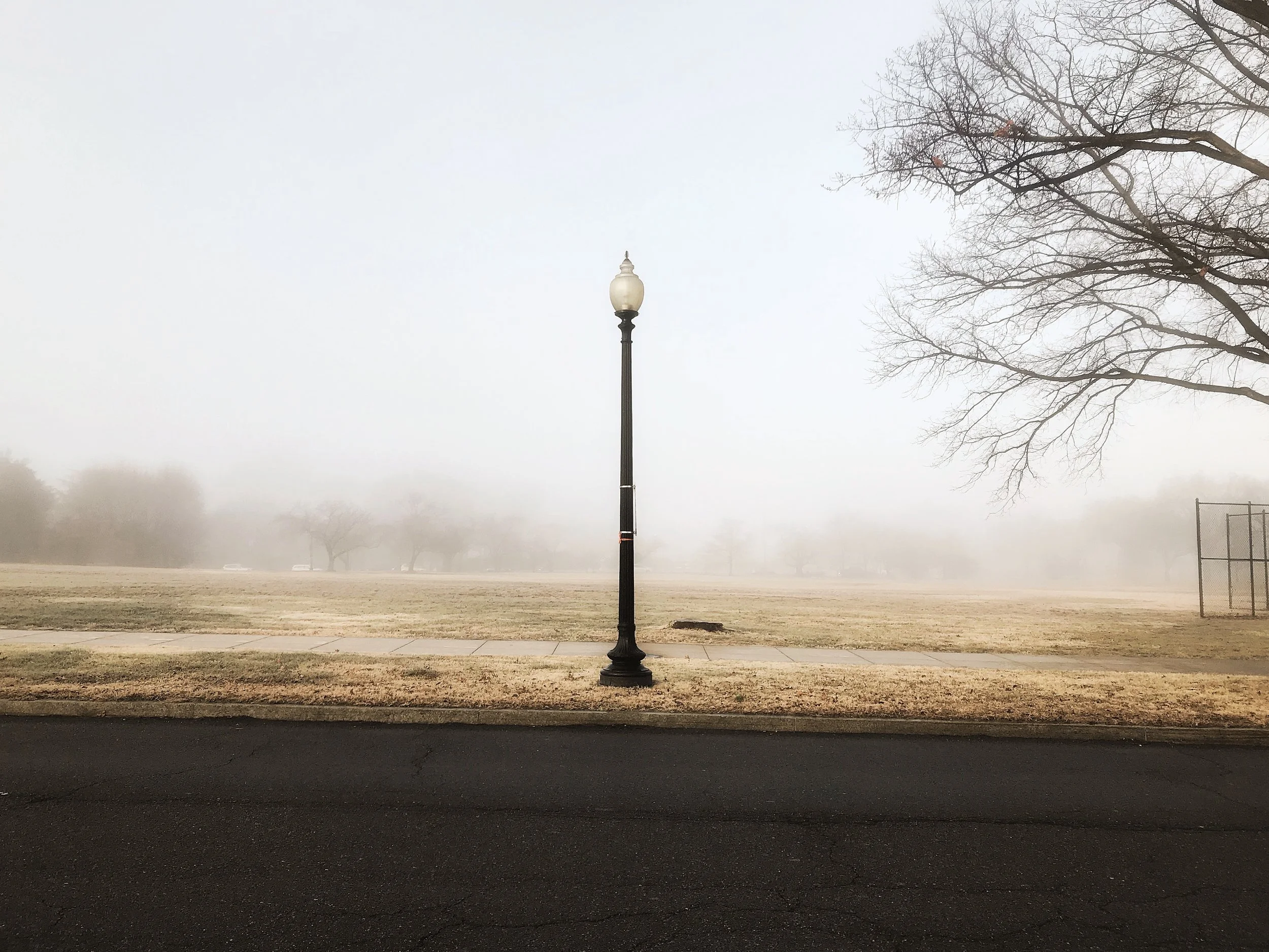 Morning Holds its Breath, Washington, DC