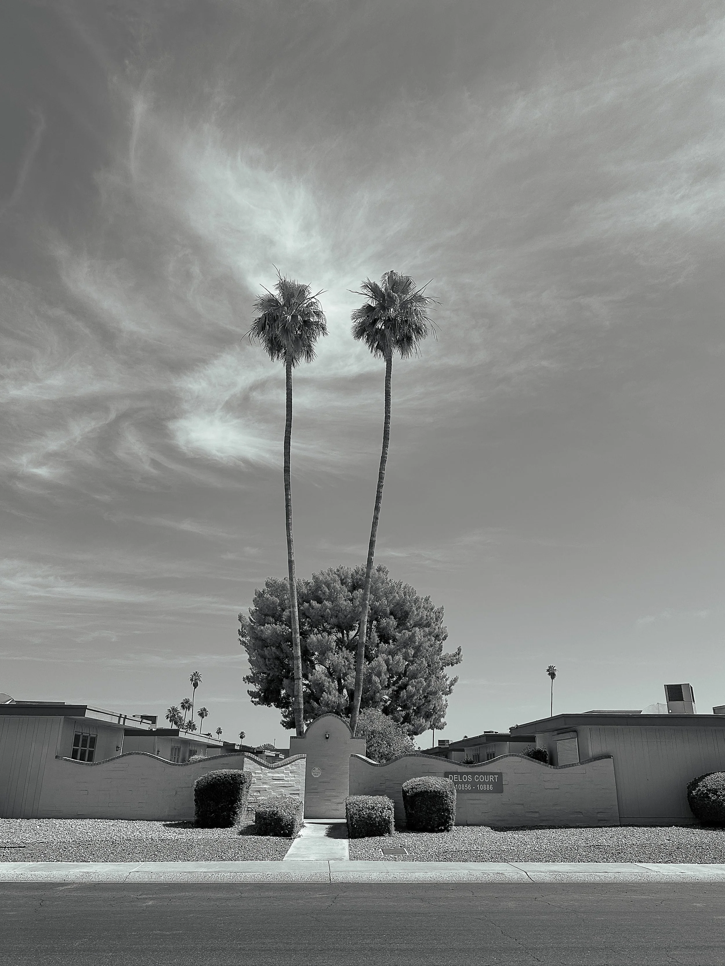 PeggyArchambault_Delos Court Final.jpg