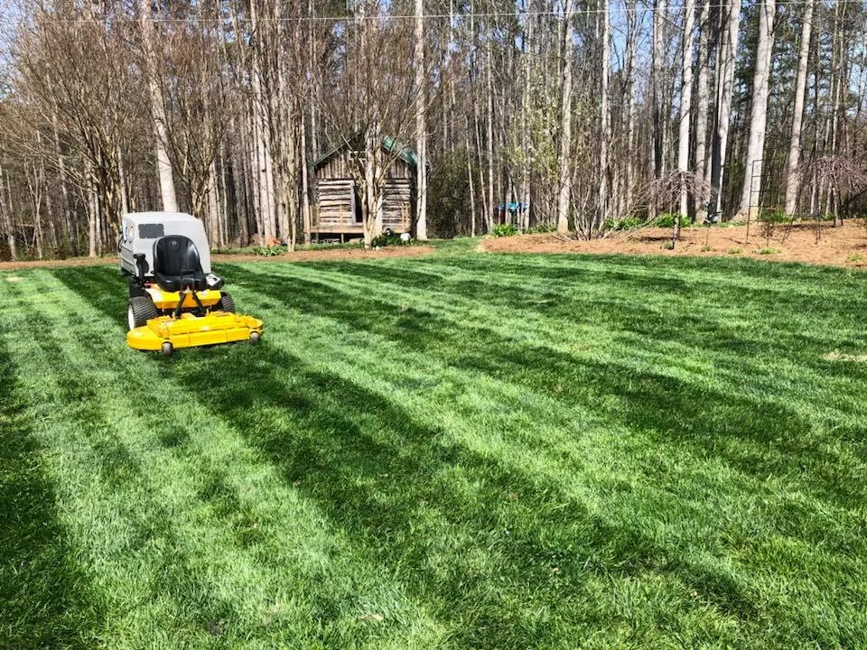 A lawn mower on a well-maintained green lawn, with grooming stripes, in a backyard with trees and a small wooden shed.