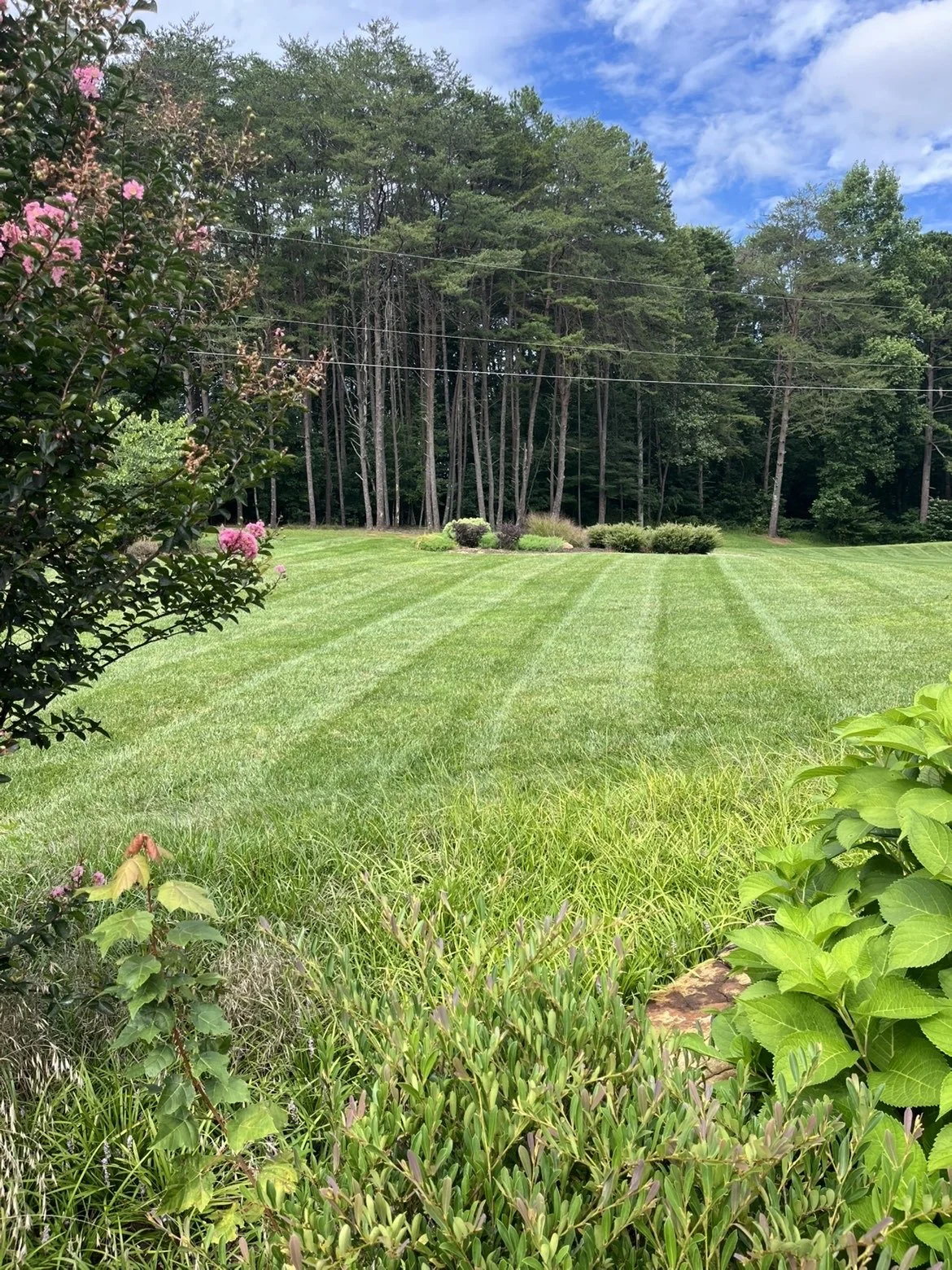 Lush green lawn with striped mowing lines, surrounded by bushes and trees, with a dense wooded area in the background and a partly cloudy blue sky.