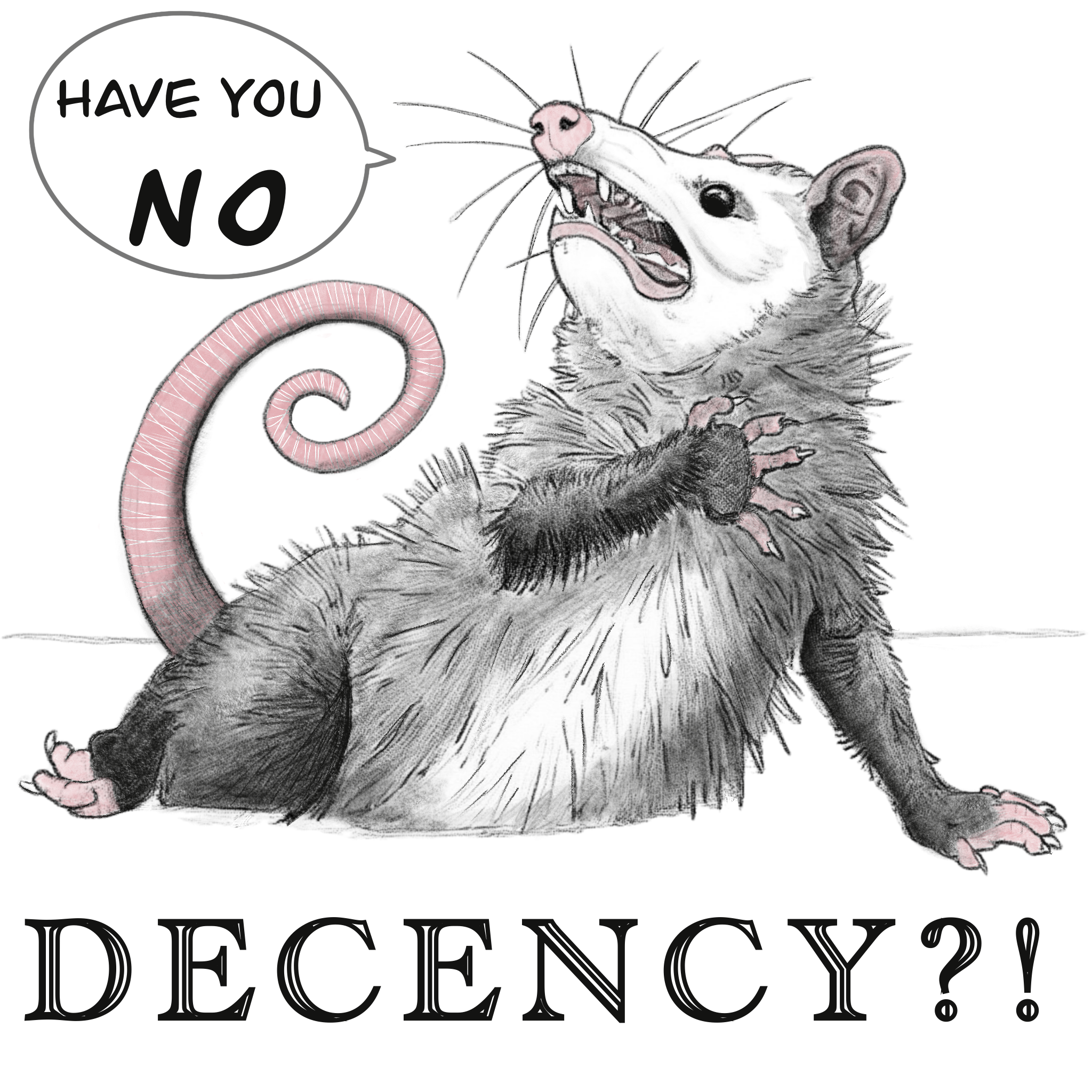 No Decency Opossum 3"x3" magnet