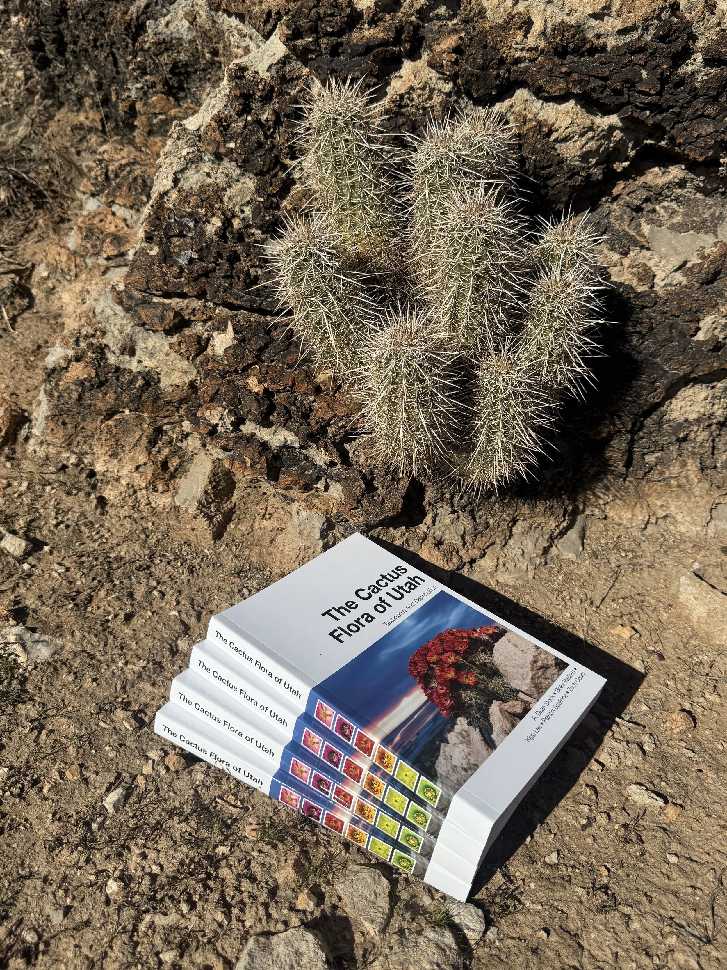 Tax-Exempt Book for Libraries