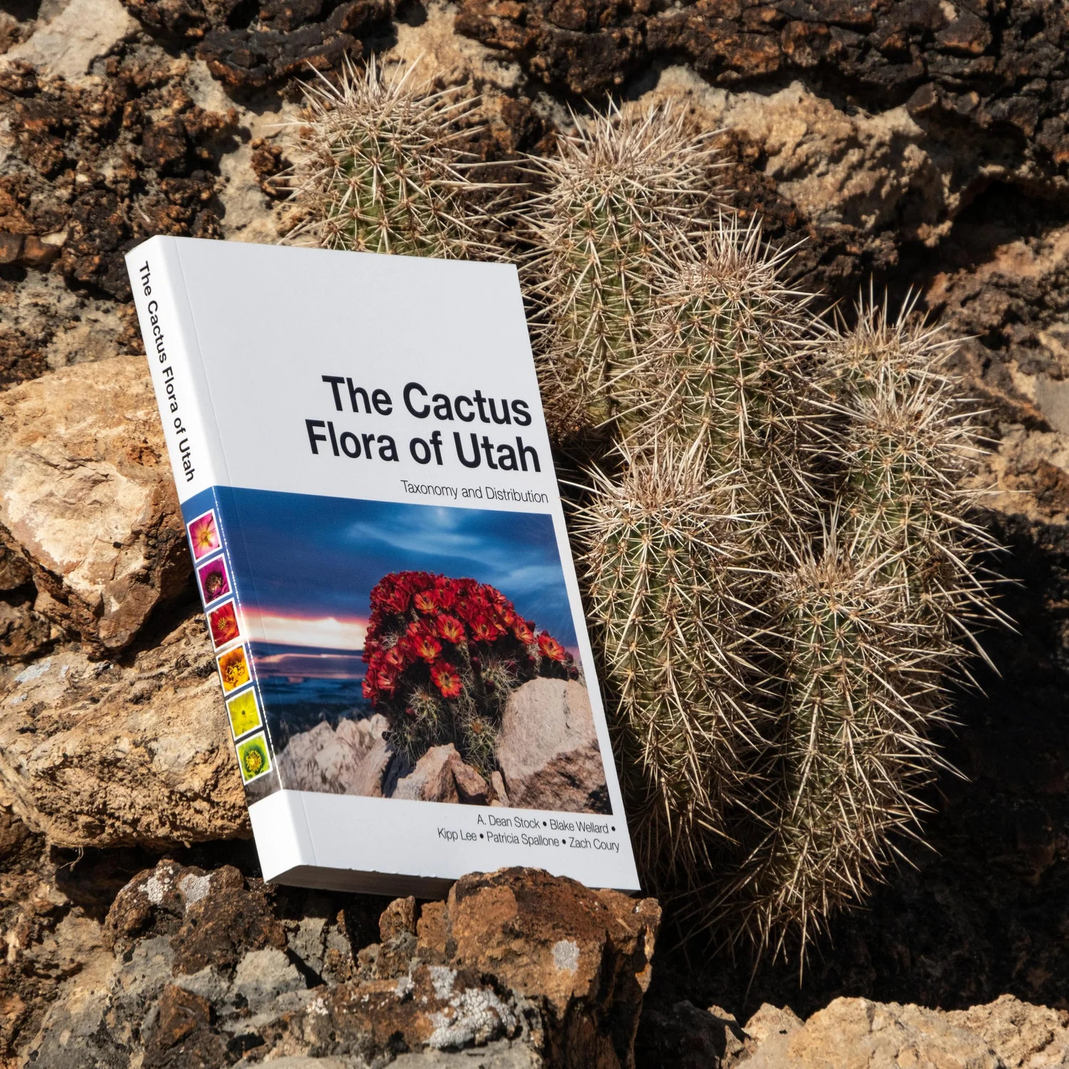 The Cactus Flora of Utah  The Cactus Flora of Utah