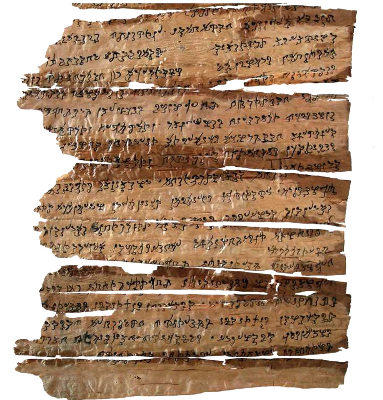 Gandhāran Dhammapada