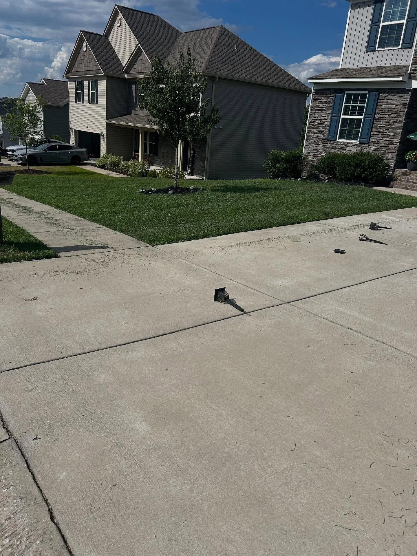 We create an experience that feels alive!!