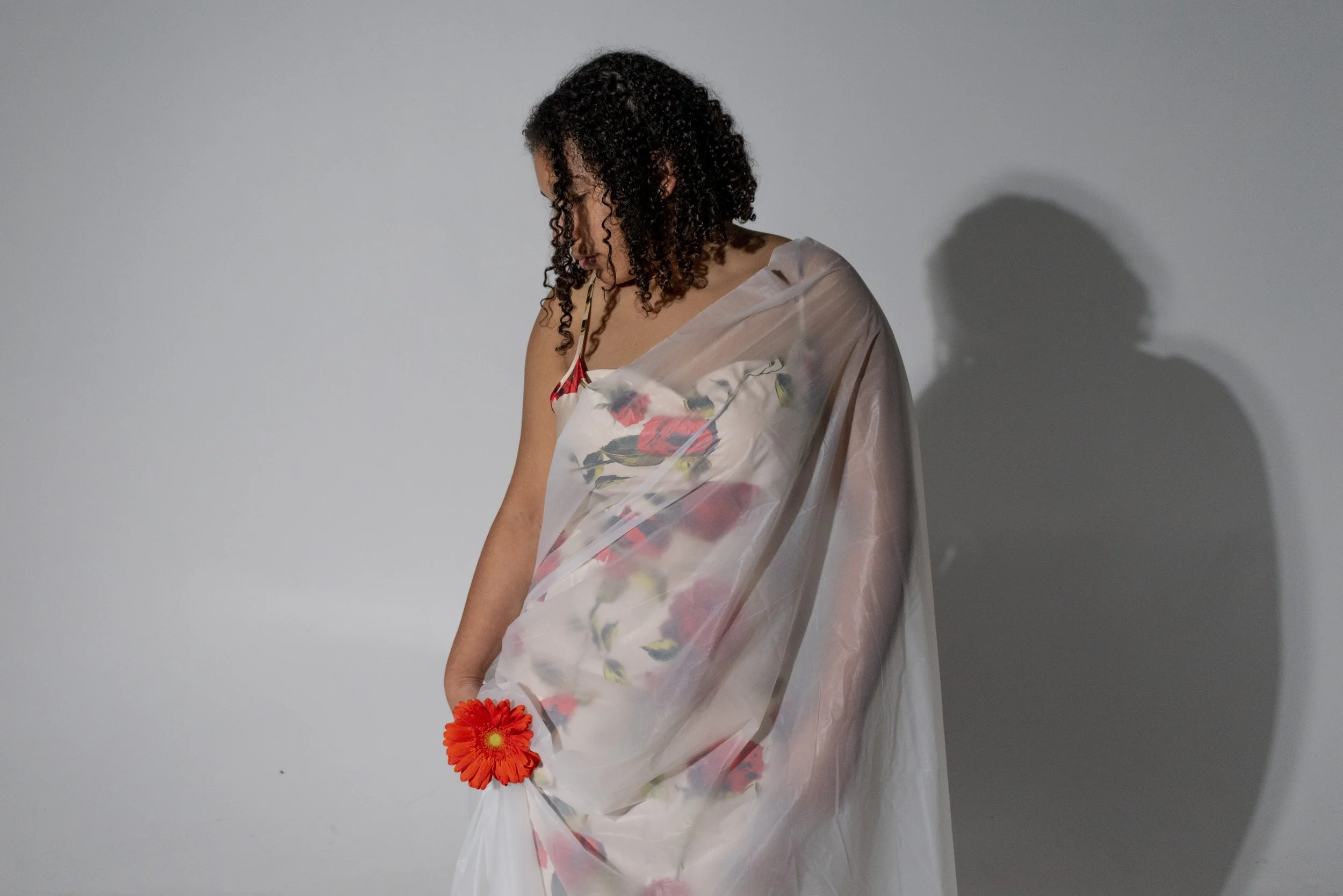DSC_0293v1.jpg