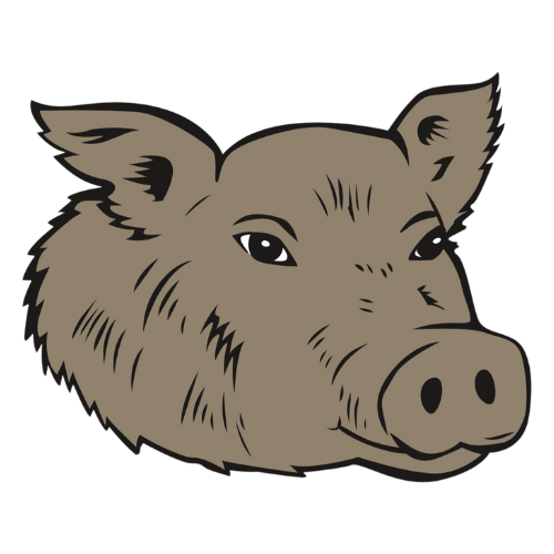 Illustration of a pig's face with pointed ears and a snout.