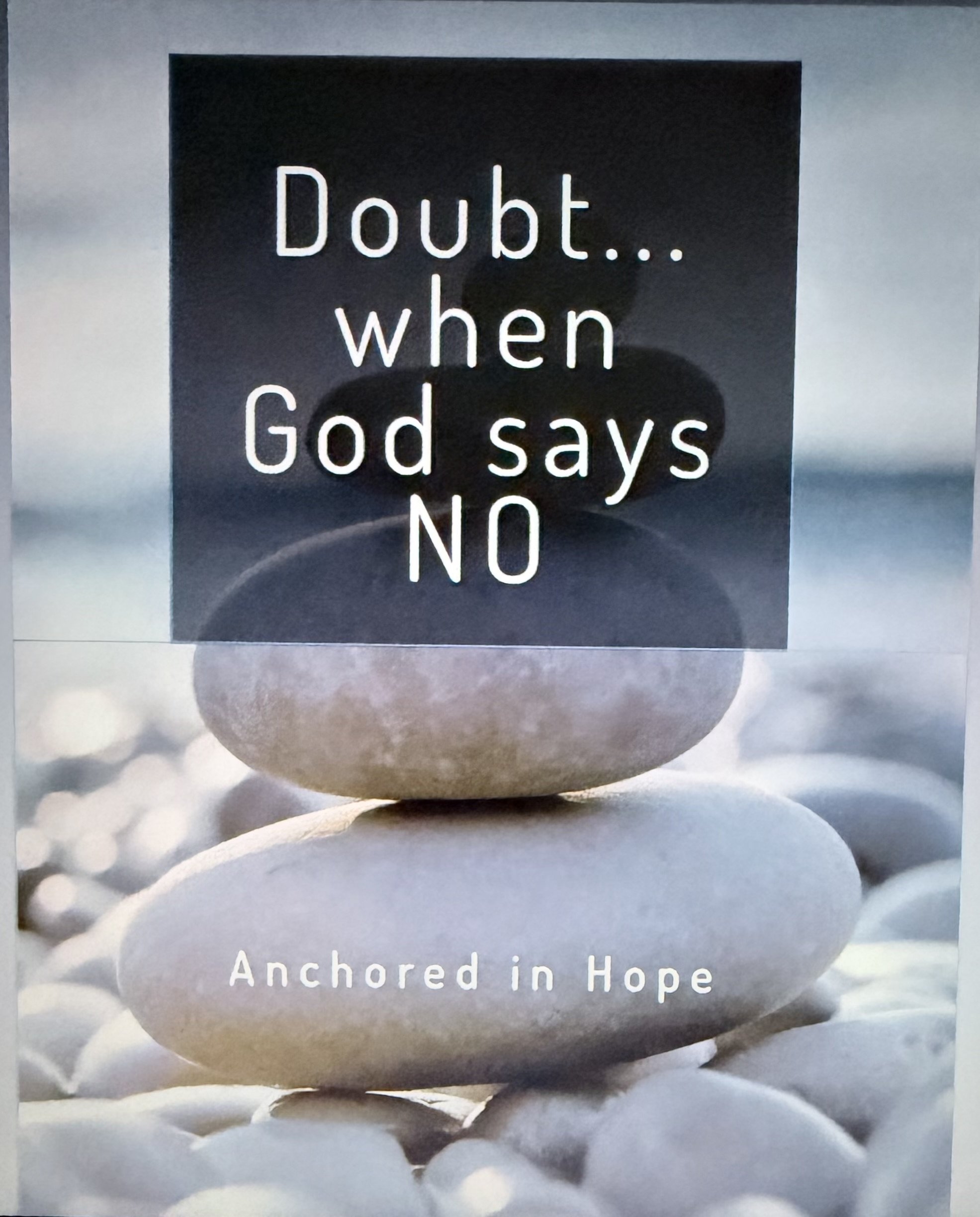 Doubt..when God says No Ebook