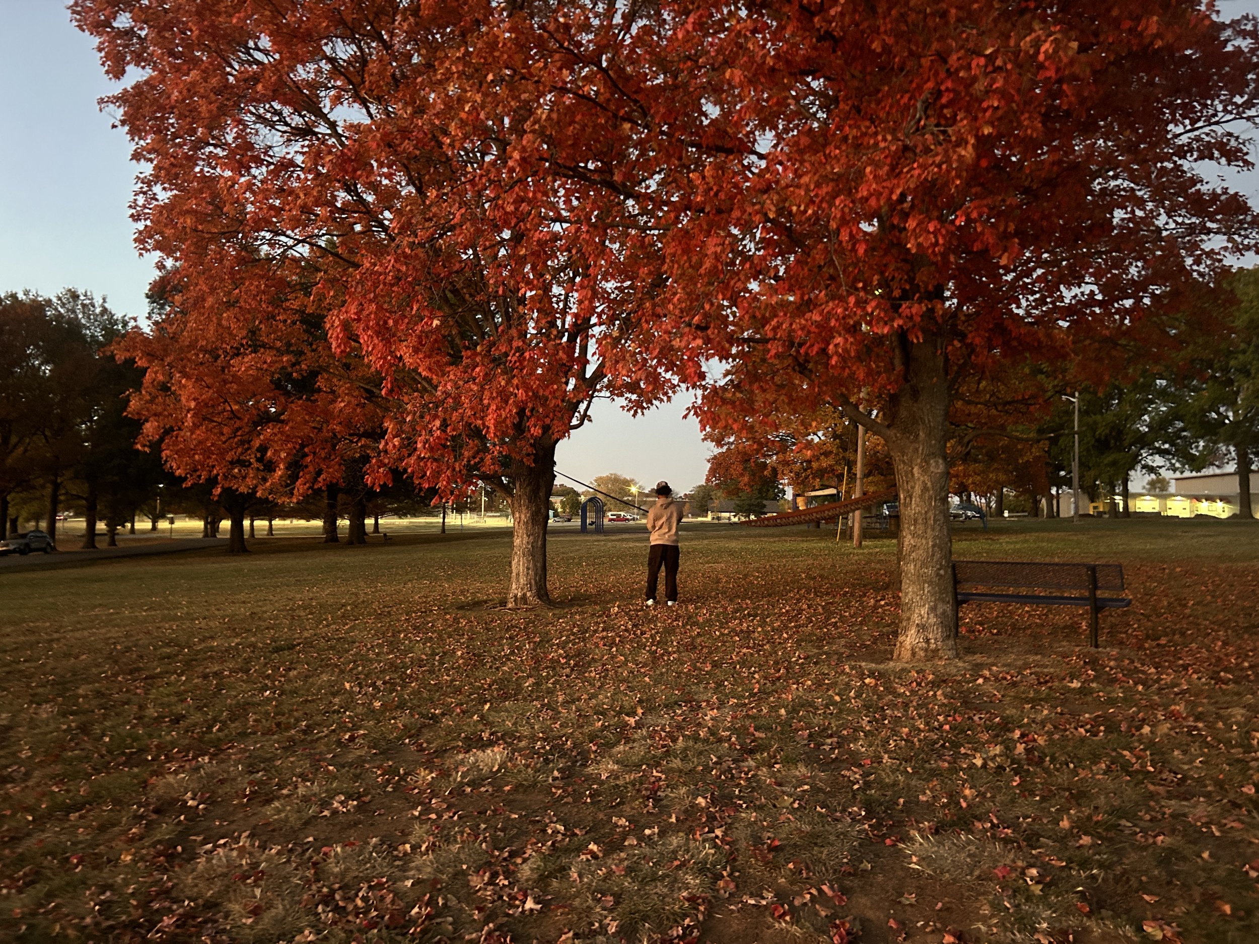 Prepared Business Presentation 