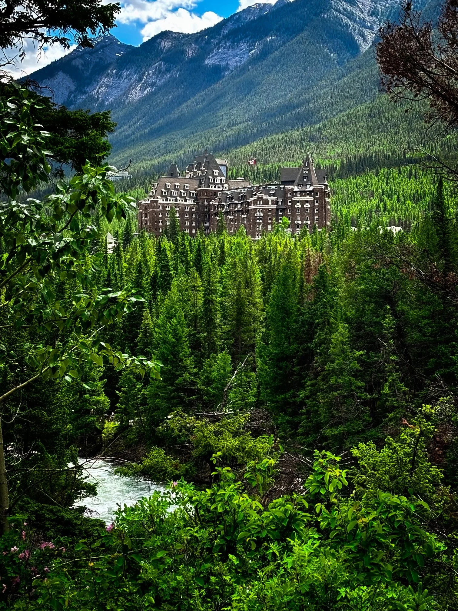 First Call Internship 