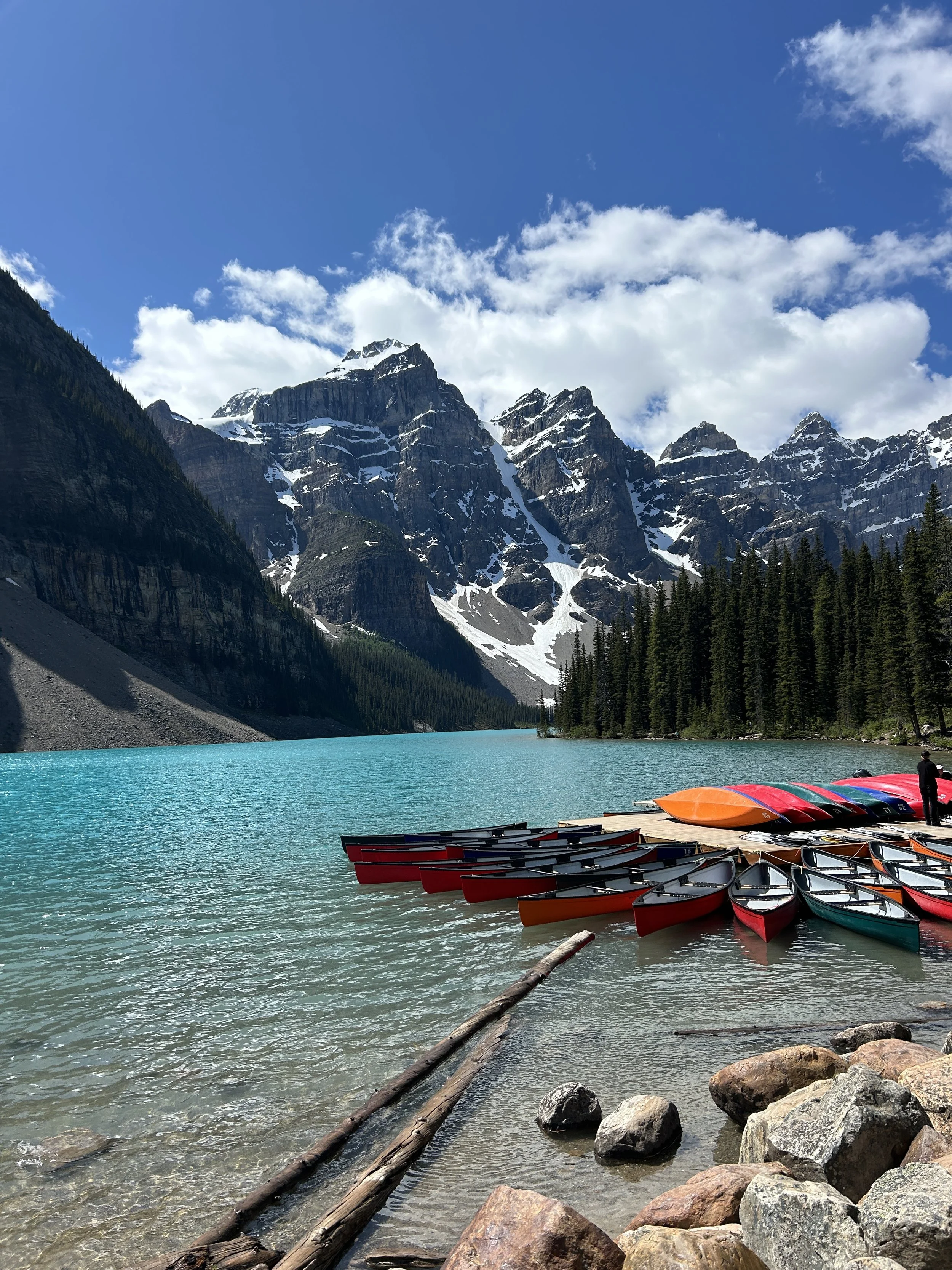 How I plan to change the world 