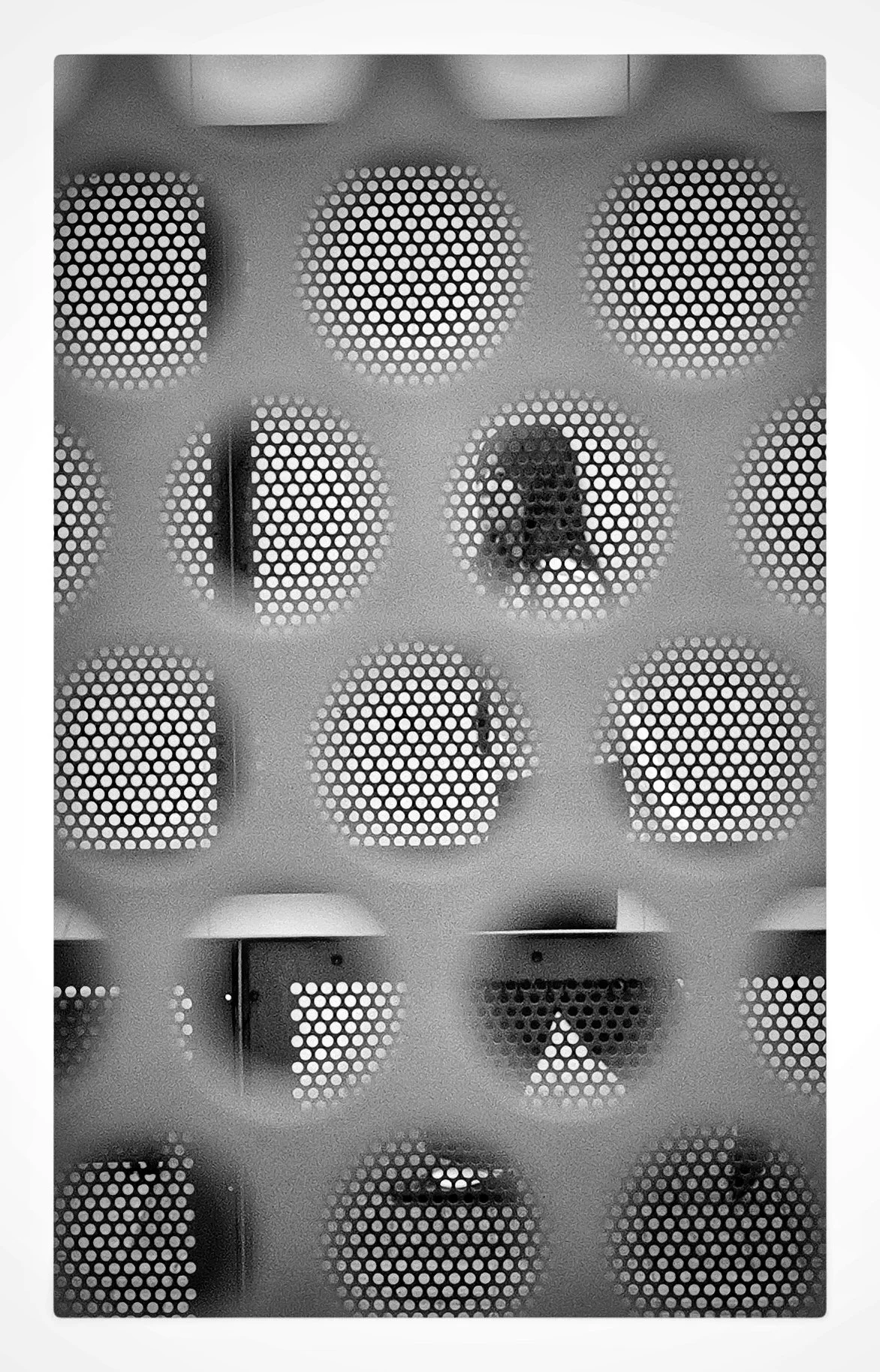 FullSizeRender 35.jpg