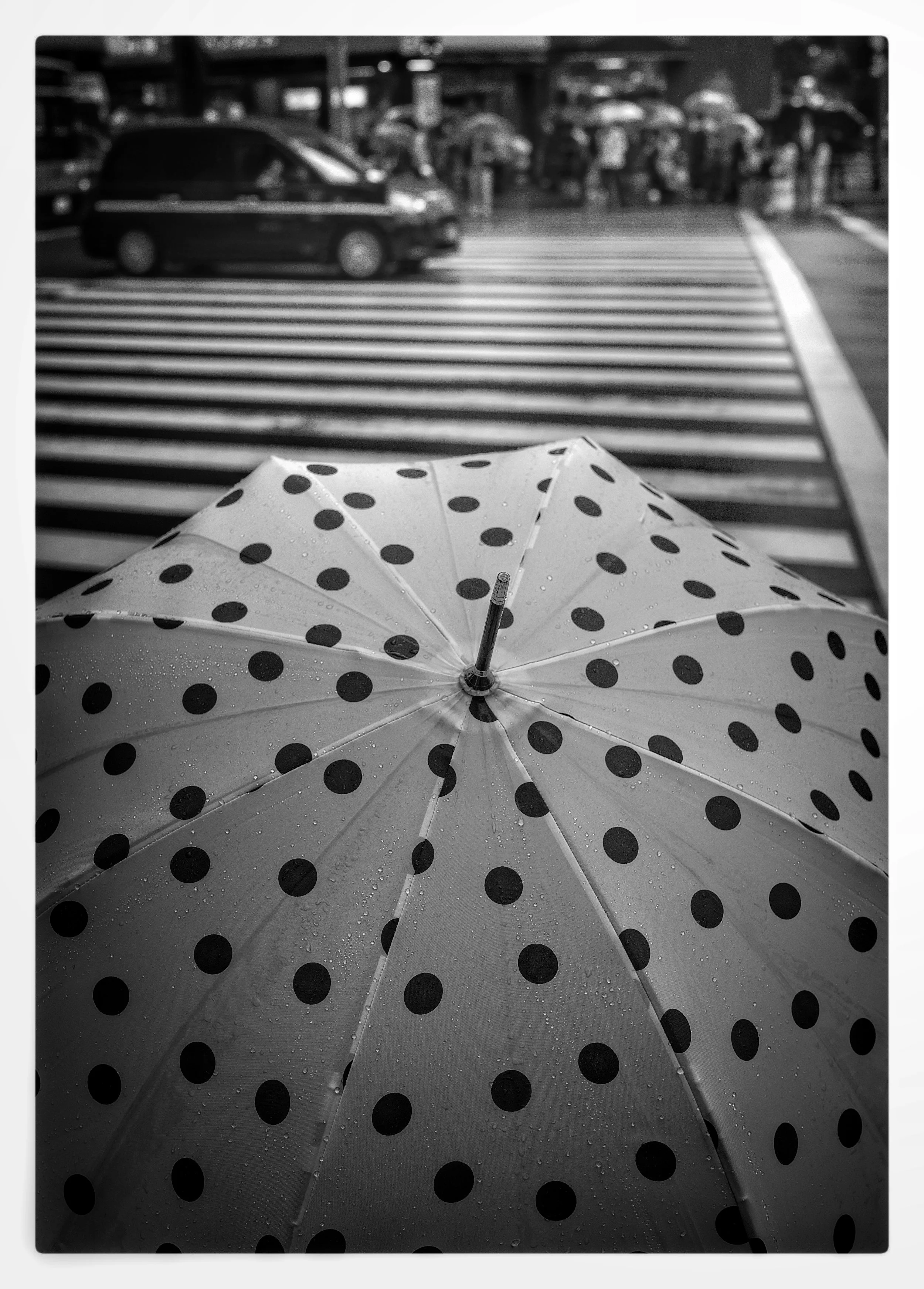 FullSizeRender 46.jpg