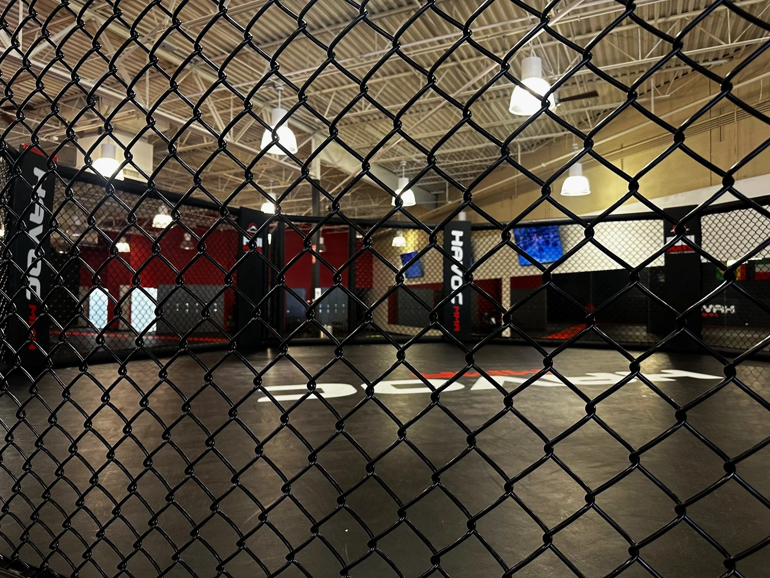 Inside an MMA training gym with a fenced fighting area, padded floors, and hanging lights overhead, viewed through a chain-link fence.