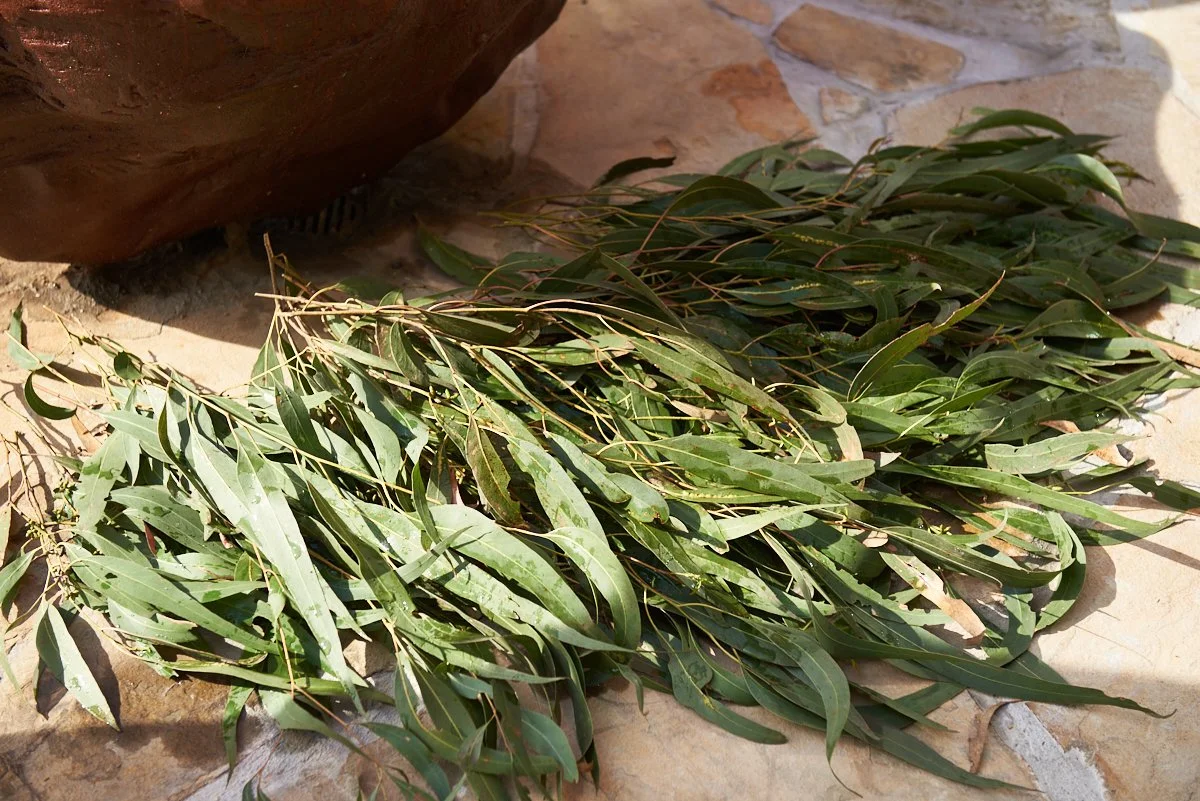 A bundle of green eucalyptus leaves lying on a tiled outdoor surface near a clay pot.