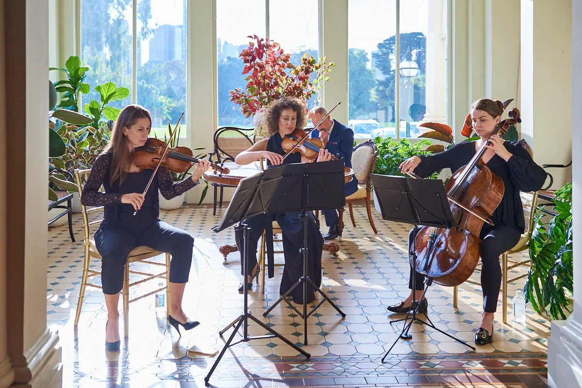 Four musicians playing string instruments in a sunlit room with large windows and green plants.