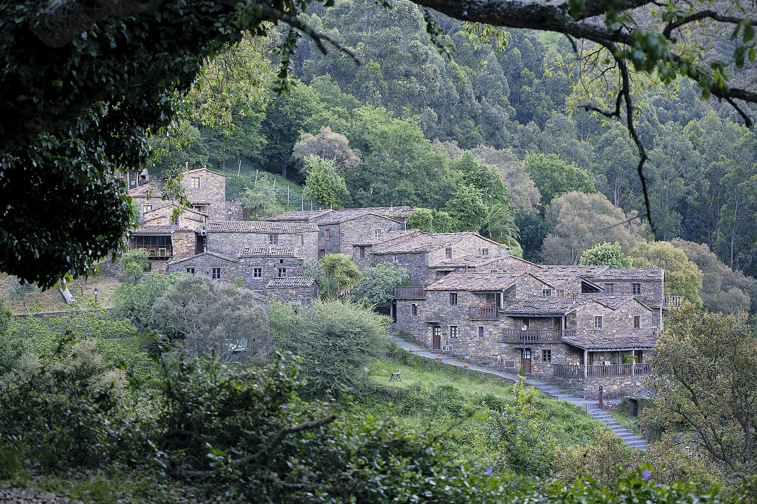 A hillside village with stone buildings and tiled roofs surrounded by lush green trees and forest.