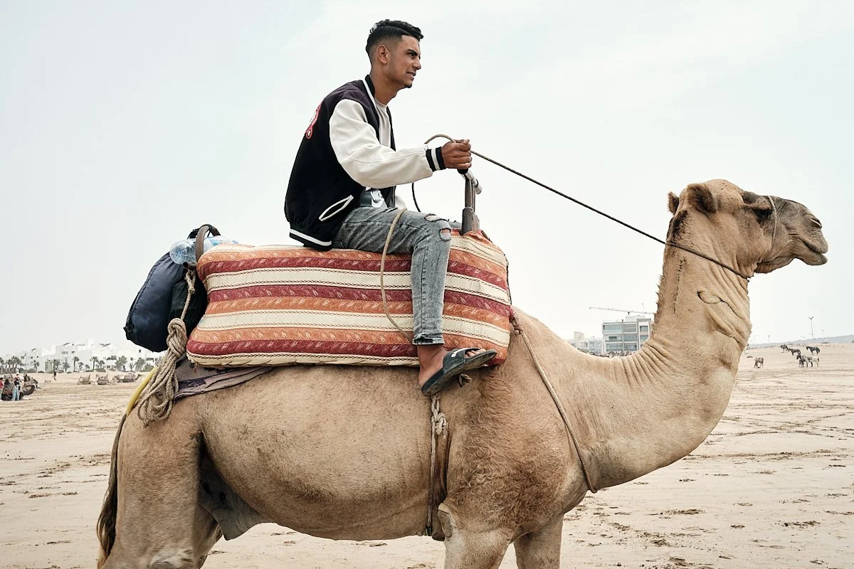 A young man riding a camel on a sandy beach, holding the camel's reins with one hand, with a background of other camels and buildings.