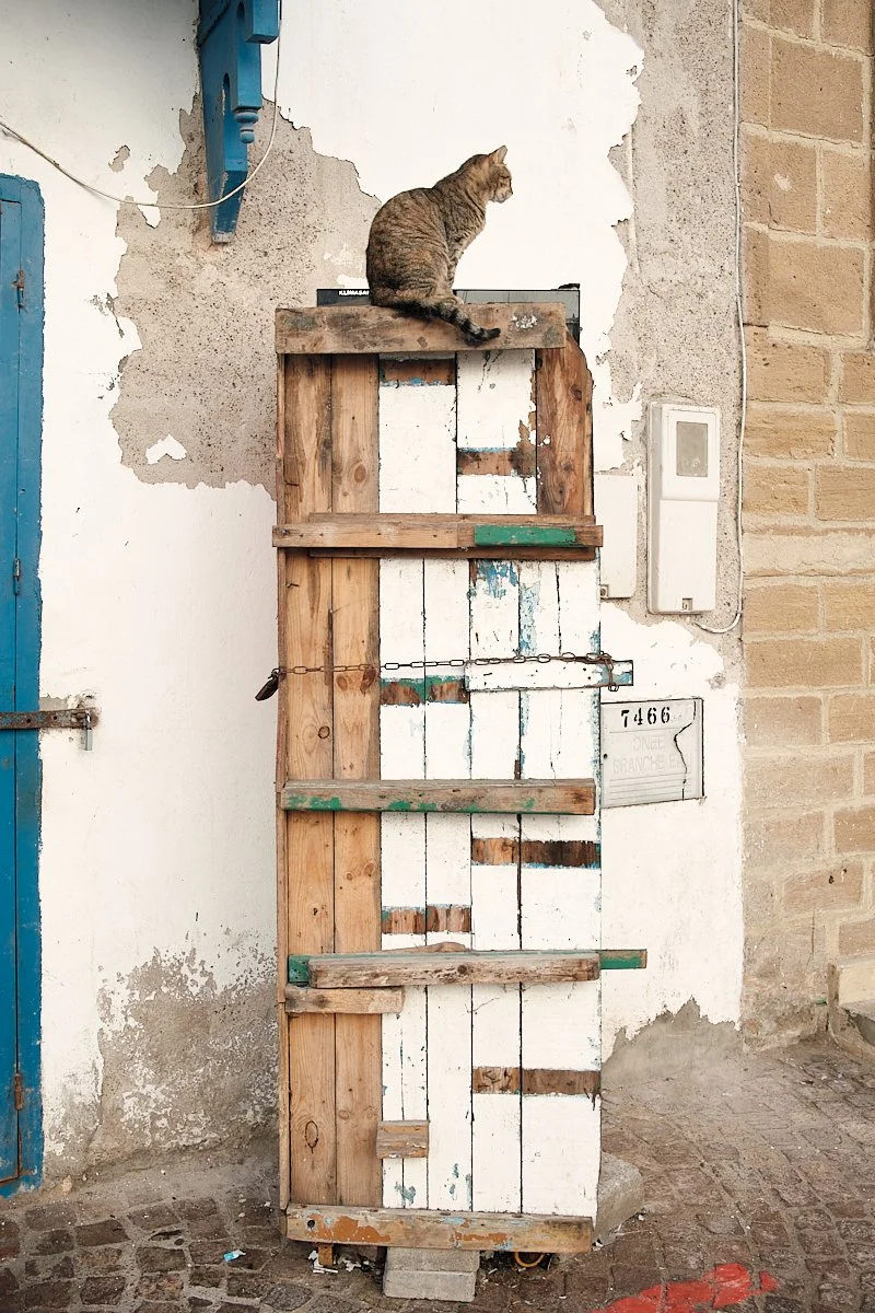 A tabby cat sitting on top of a weathered wooden crate, against a textured white and brick wall.